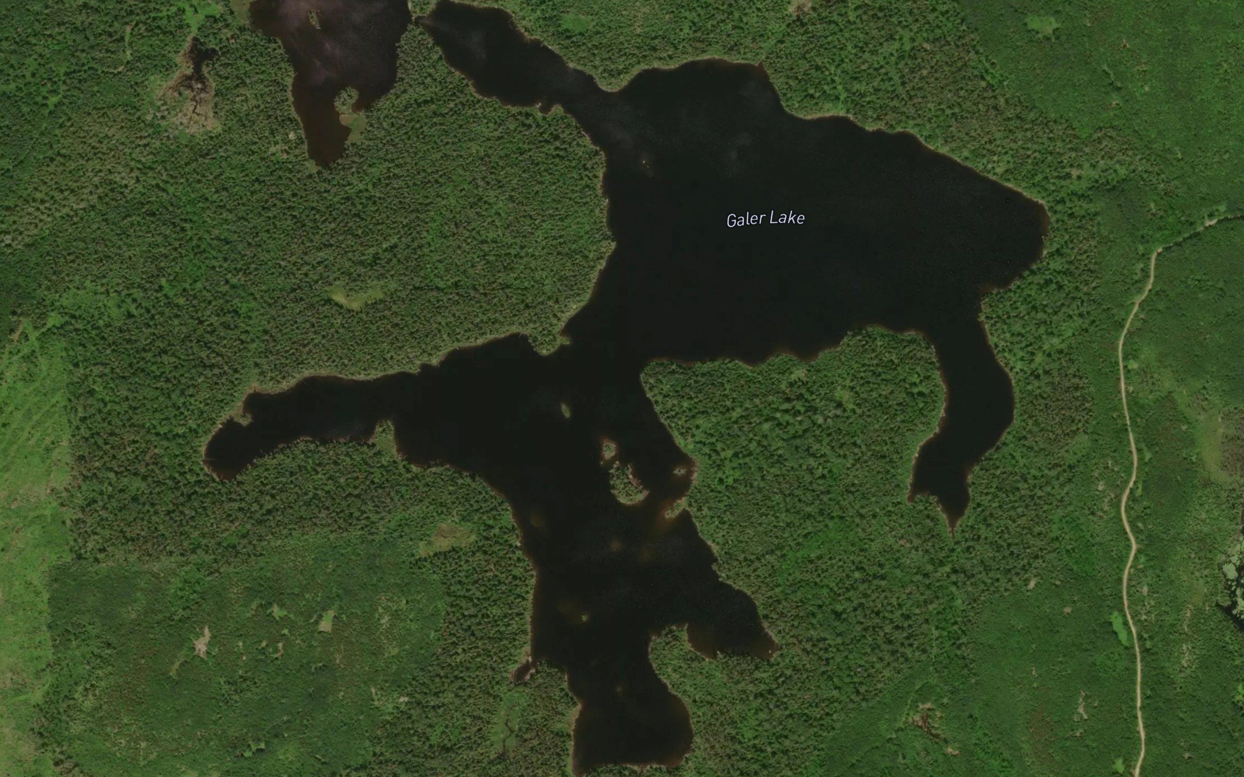 Galer Lake