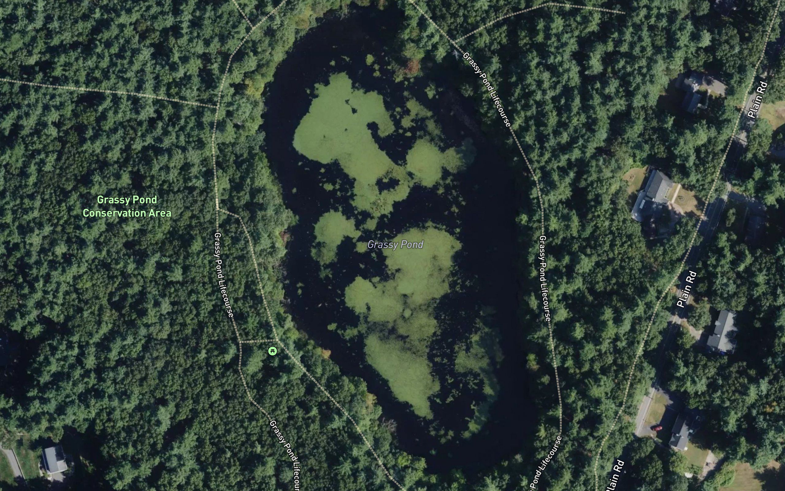 Grass Pond