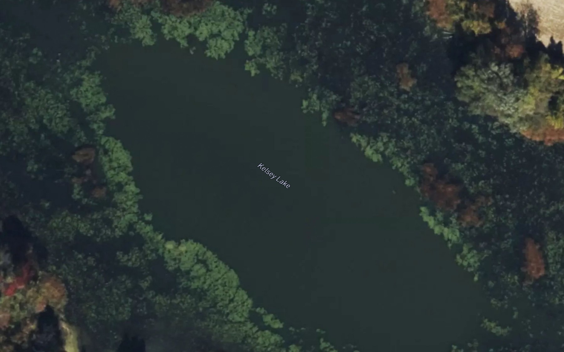 Satellite map of the Kelsey Lake