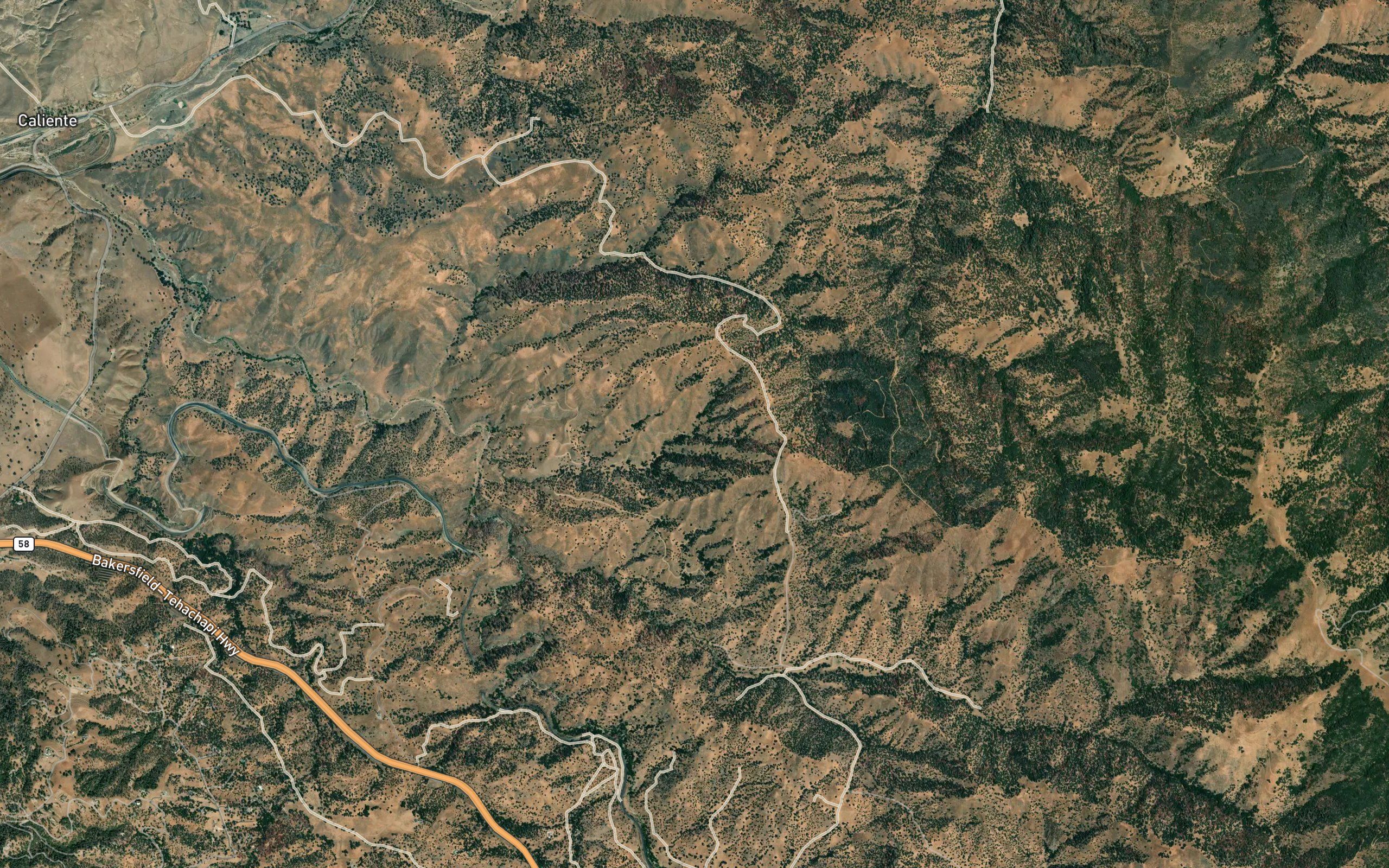 Deer Spring