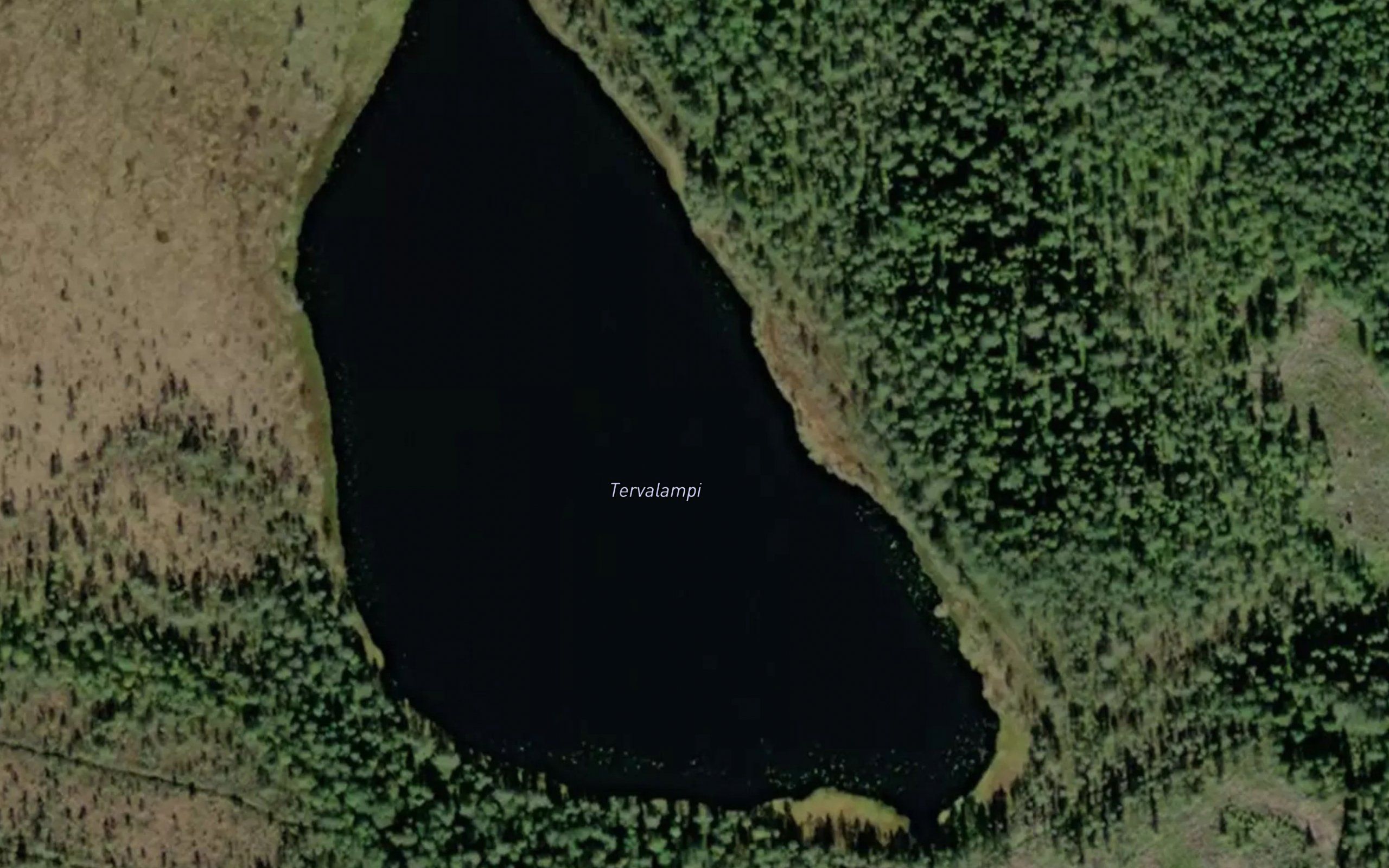 Tervalampi
