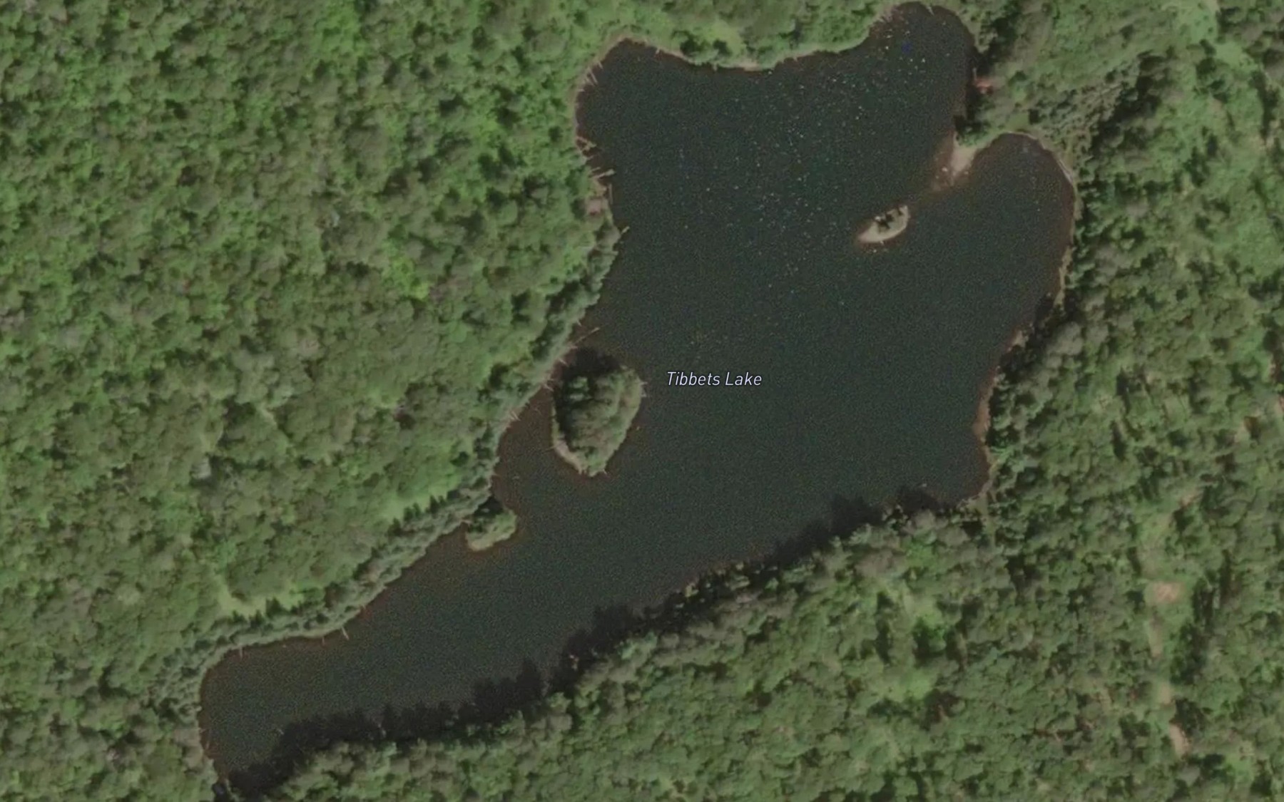 Satellite map of the Tibbets Lake