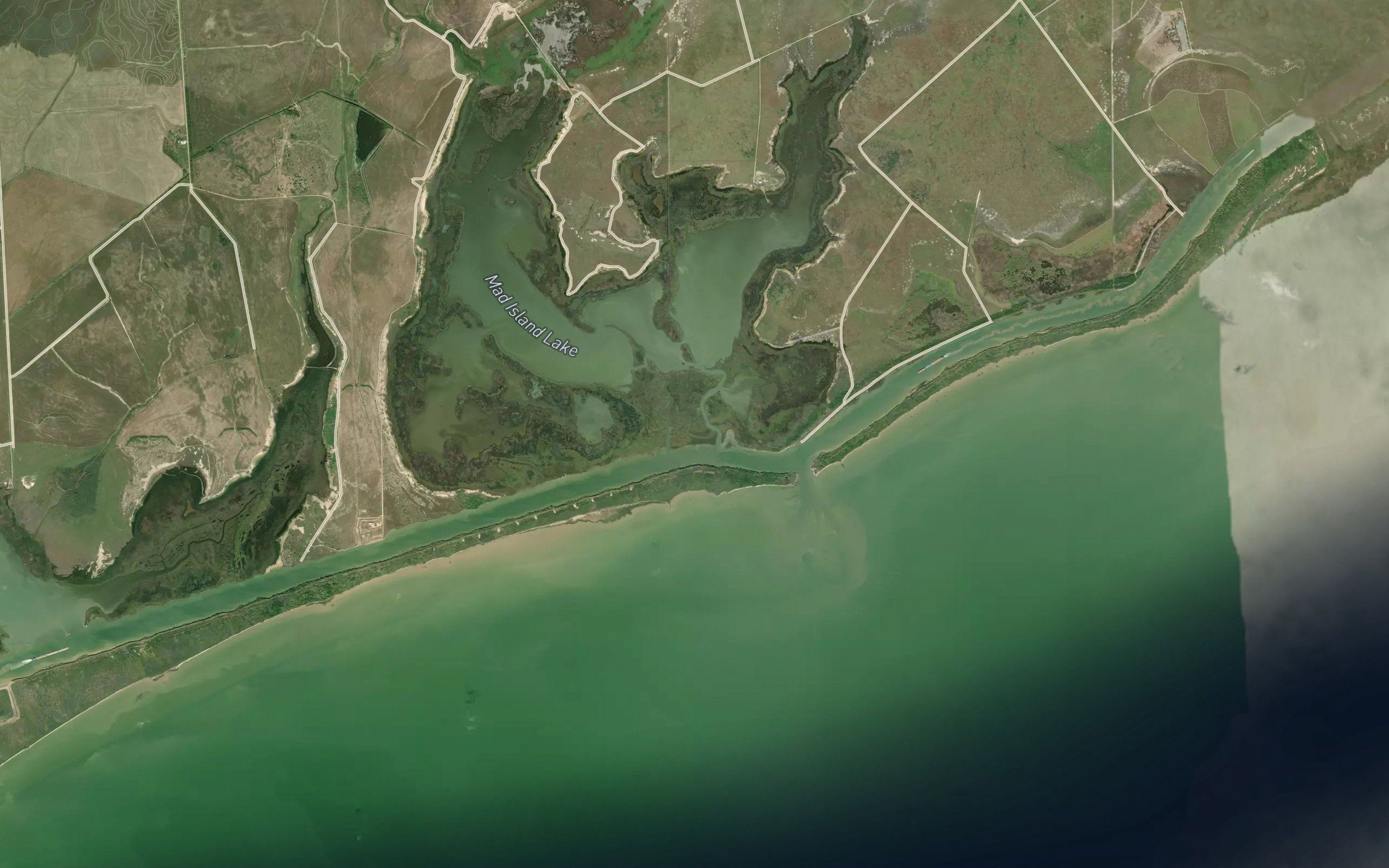 Mad Island Bayou