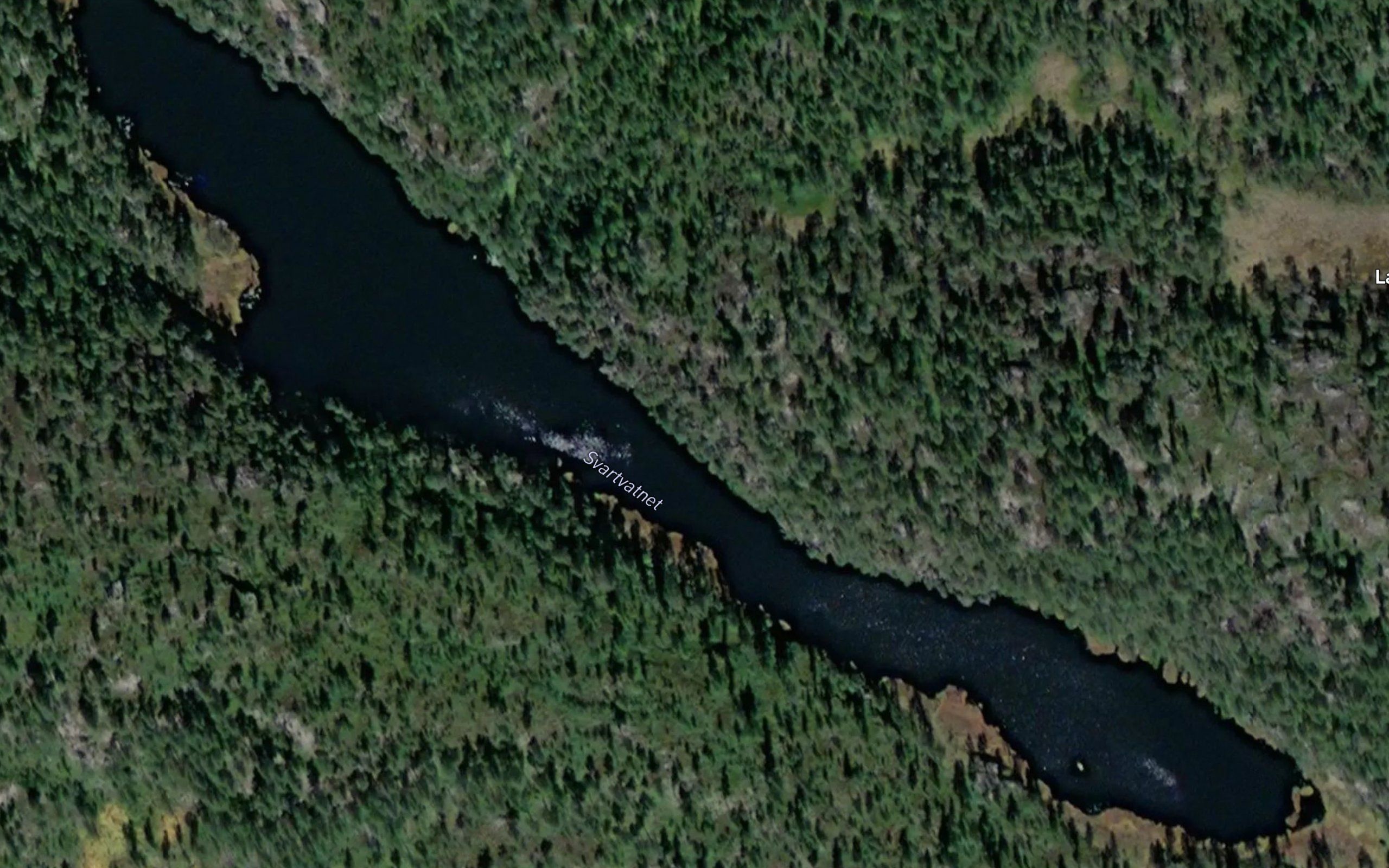 Svartvatnet