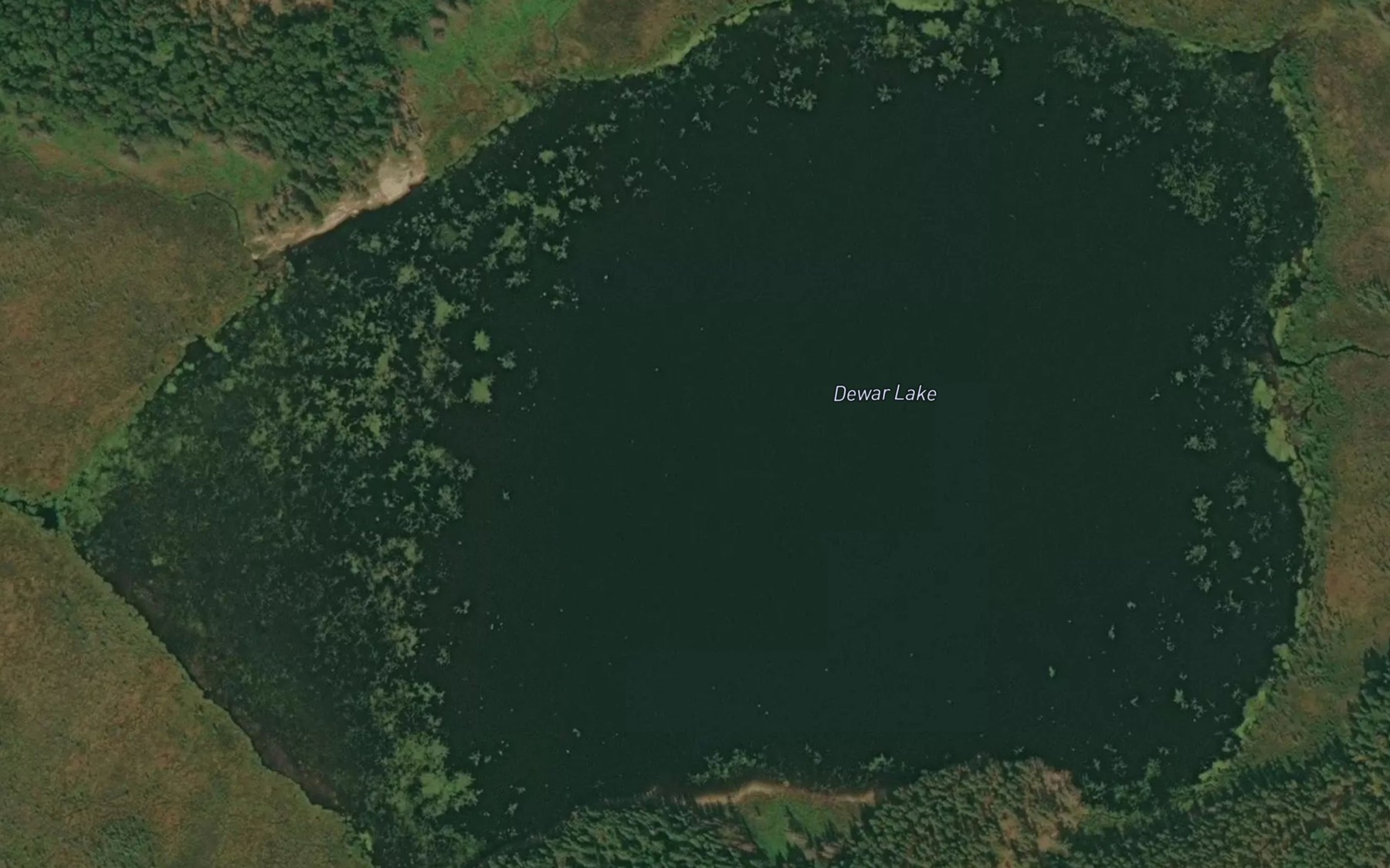 Satellite map of the Dewar Lake