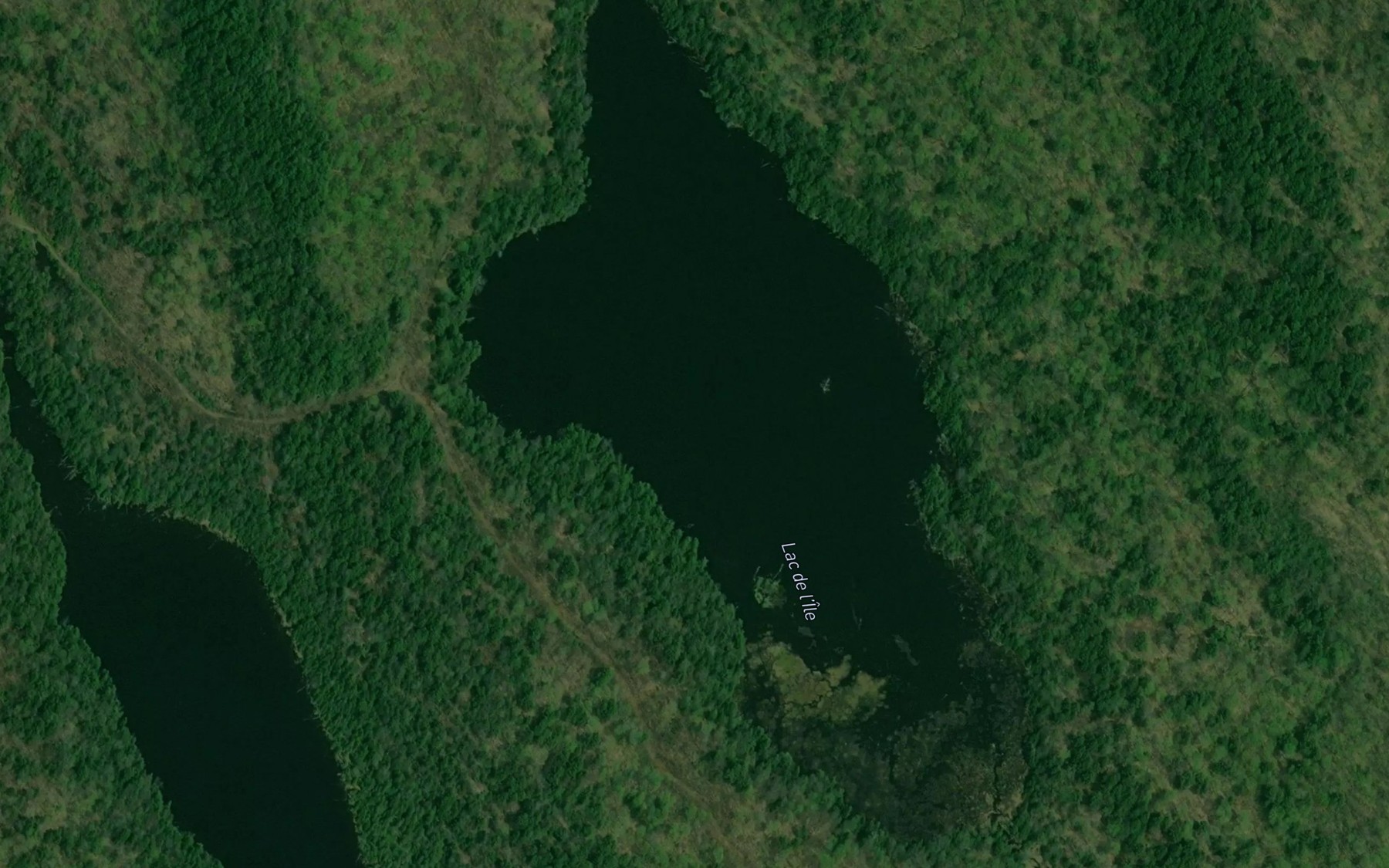 Satellite map of the Lac de l'Ile