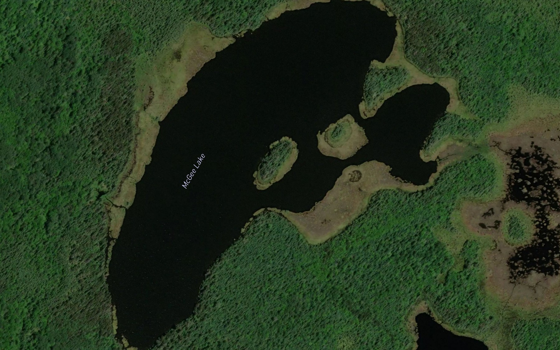 Satellite map of the McGee Lake