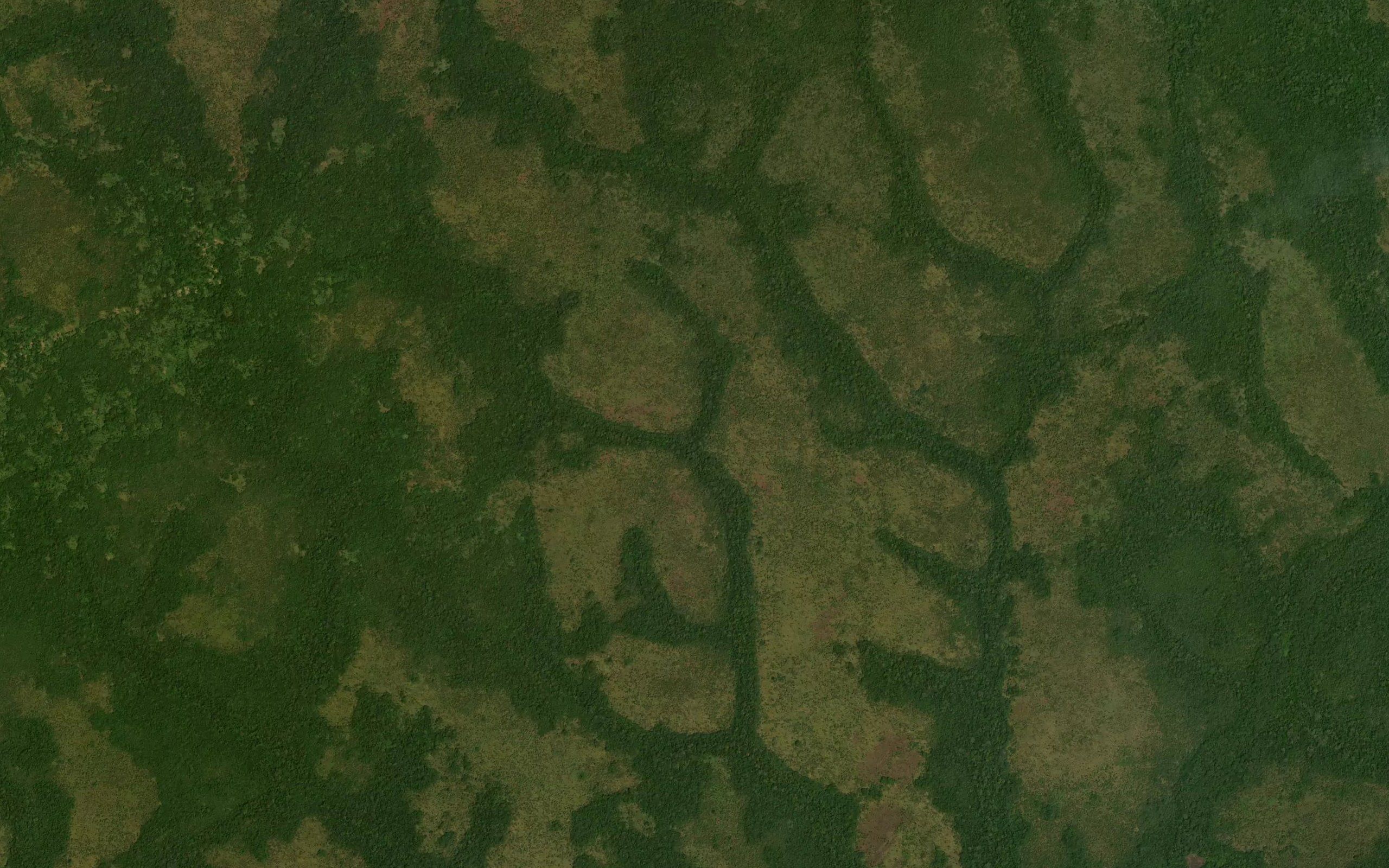 Nangiliwi