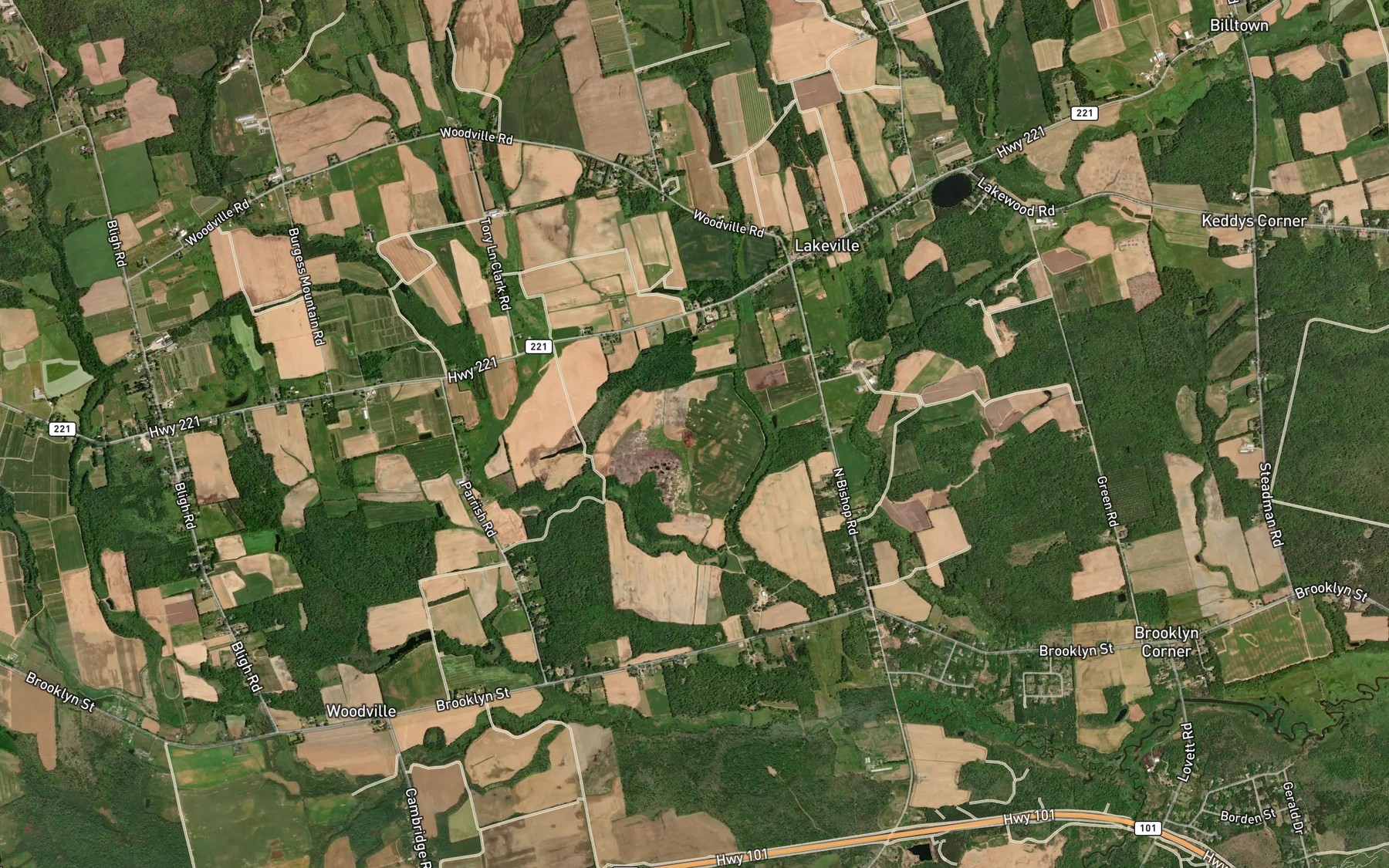 Satellite map of the Griffin Brook
