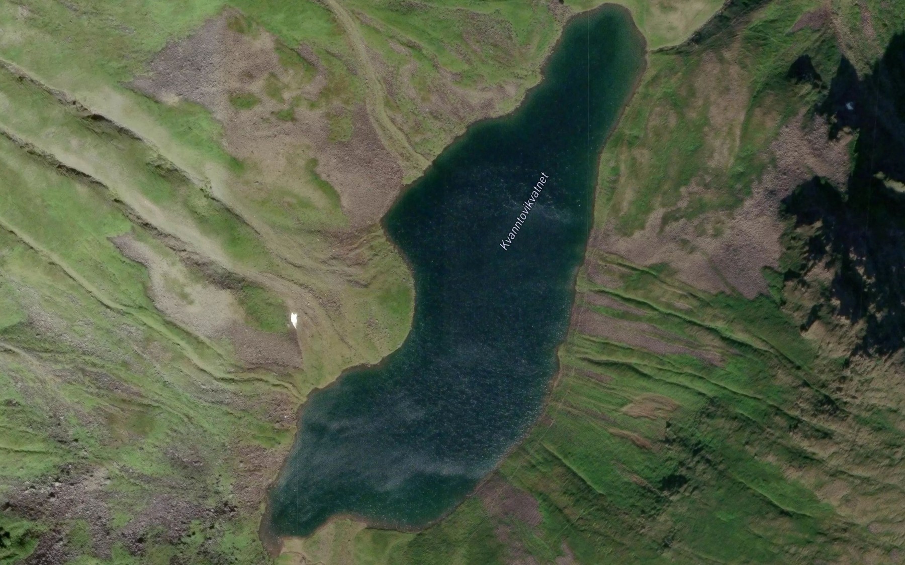 Satellite map of the Kvanntovikvatnet