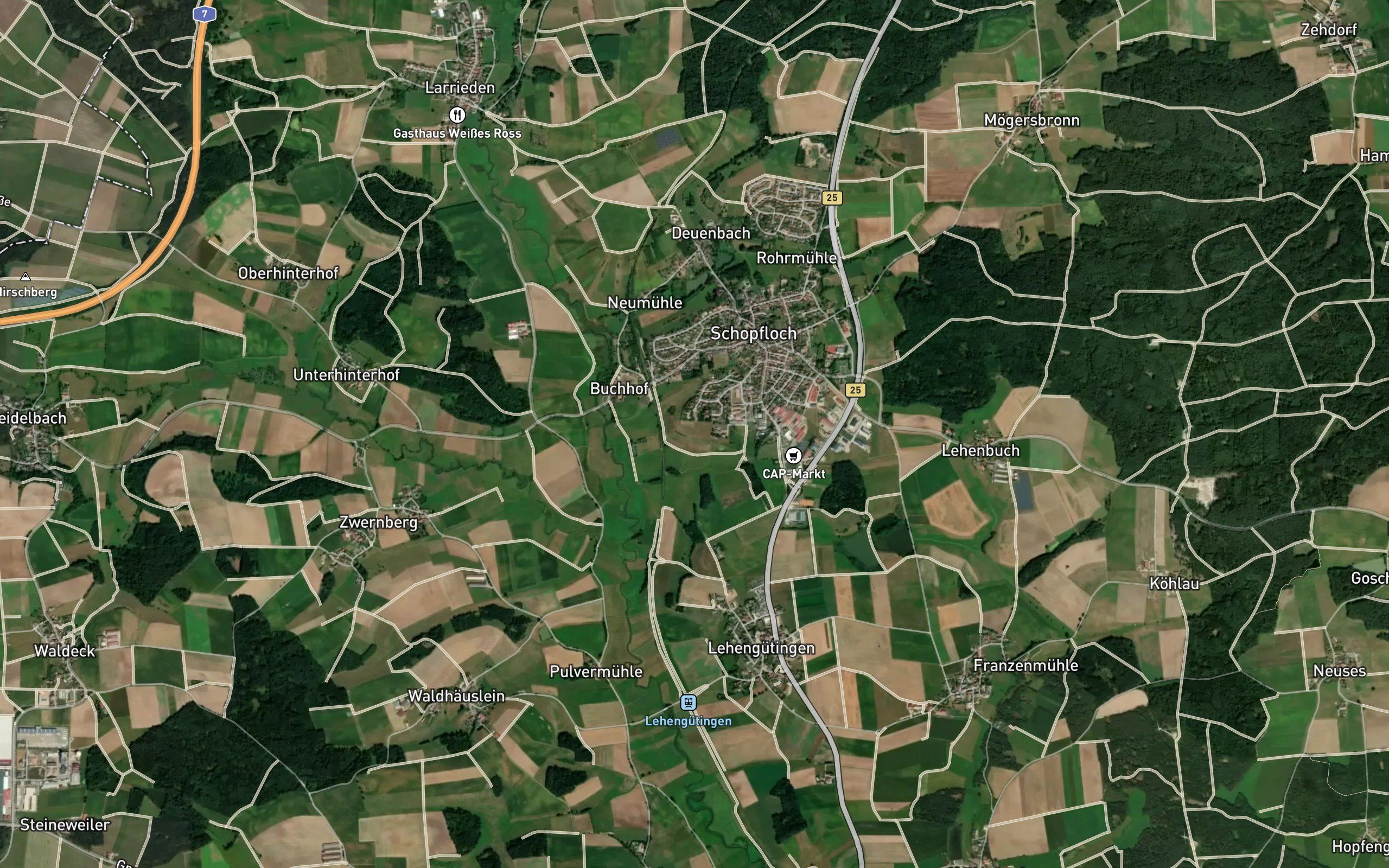 Zwergwornitz