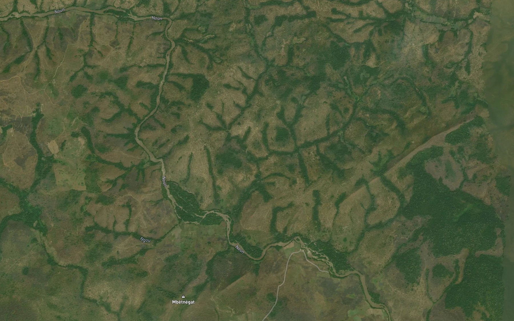 Satellite map of the Mfenyam