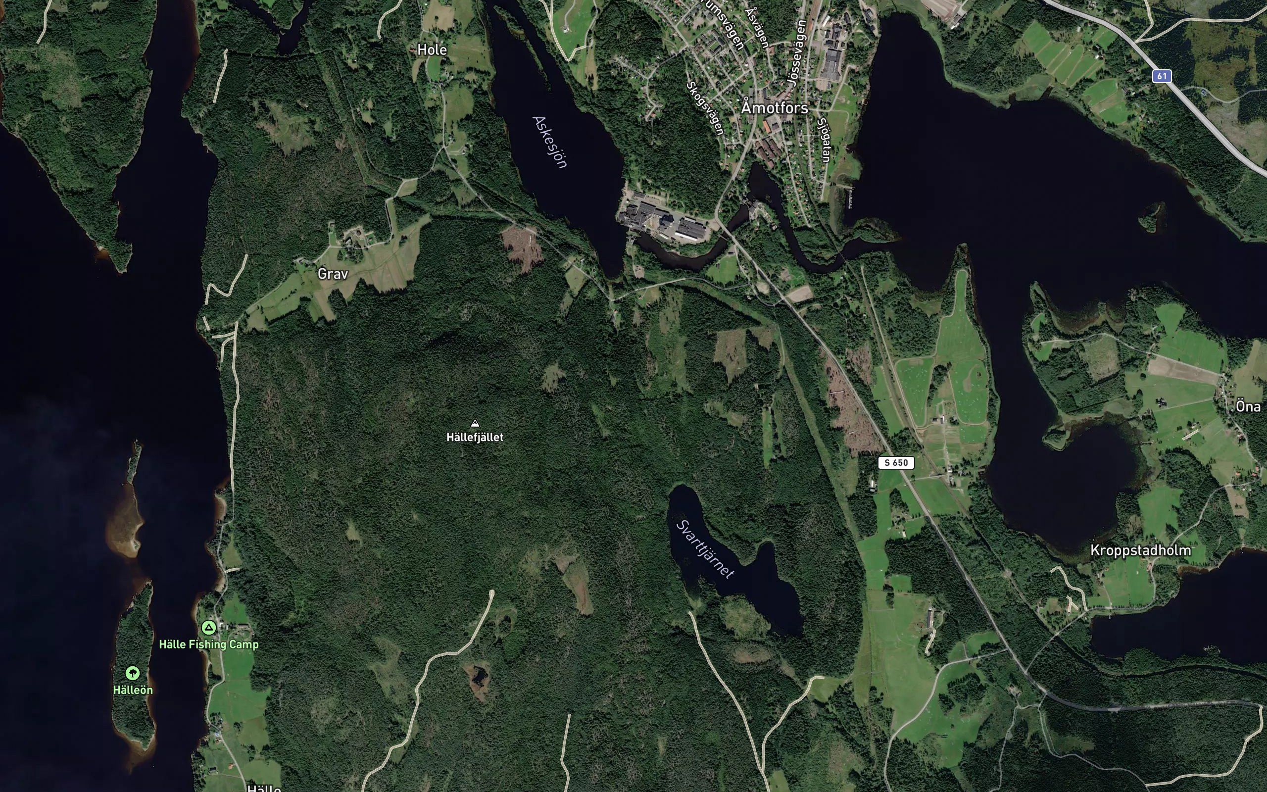 Svartjarn