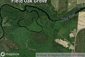 Little Hell Creek