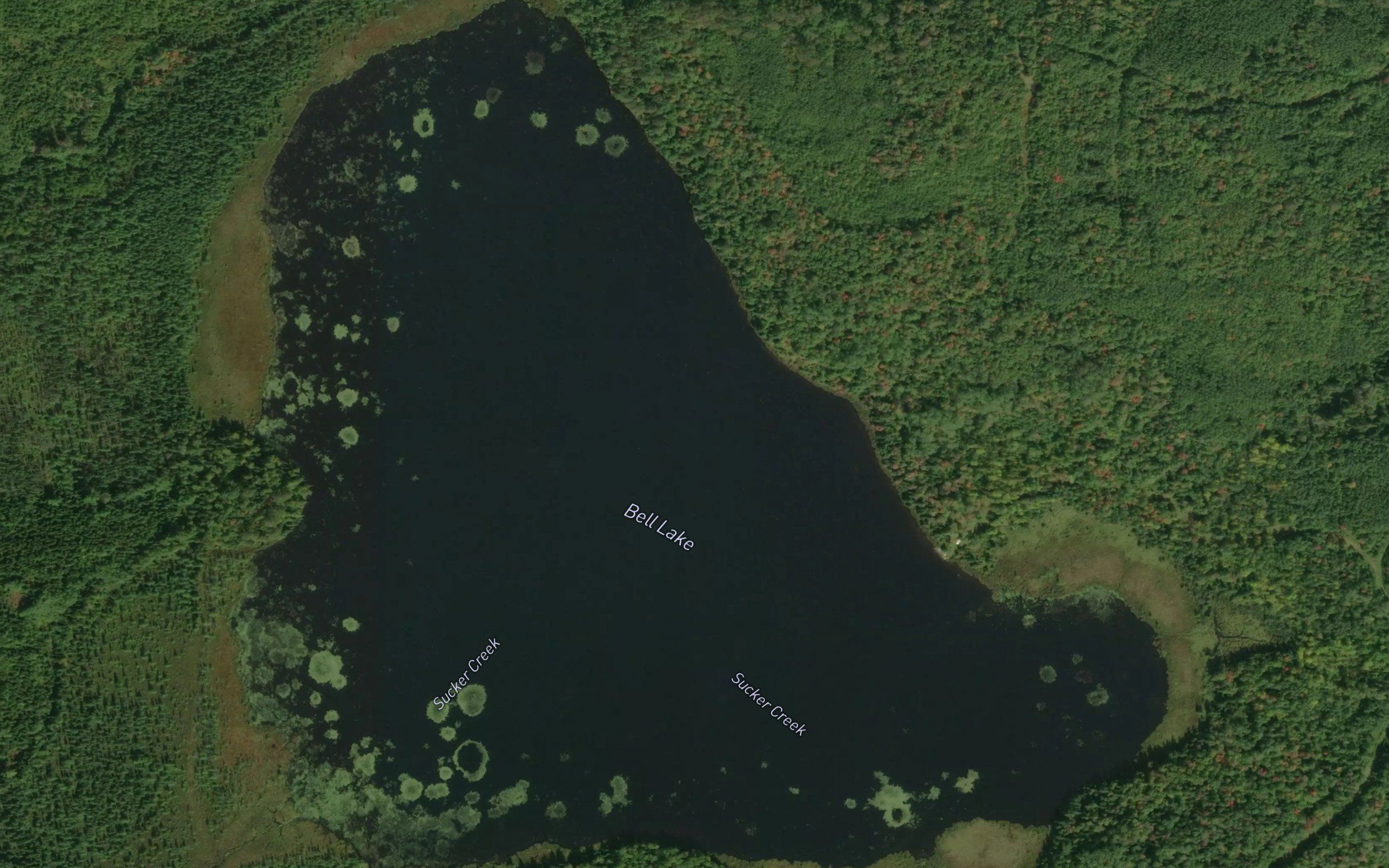 Bell Lake