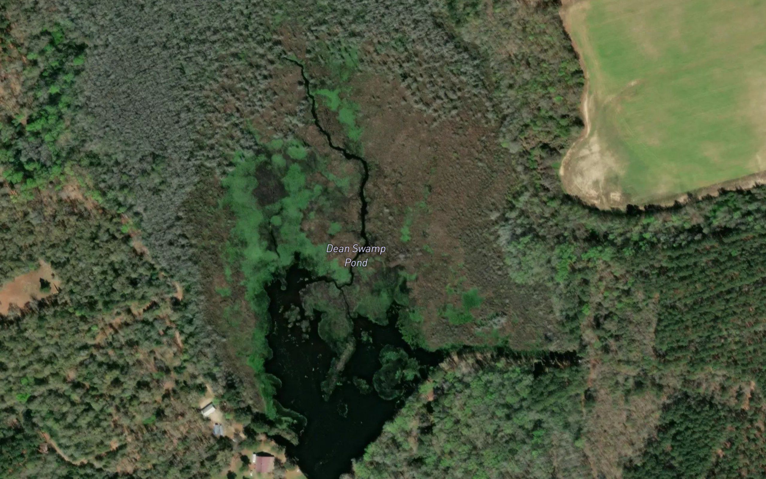 Dean Swamp Pond
