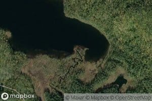 Talasjuuha