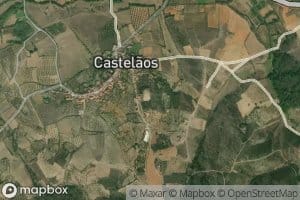 Ribeiro do Vale do Medo