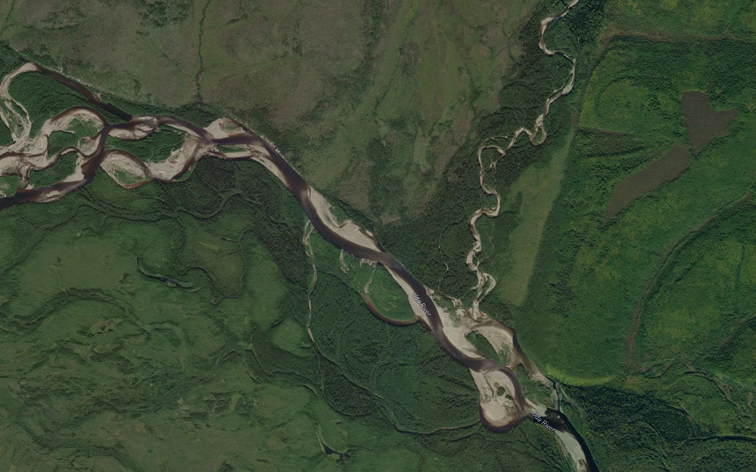 Chavi