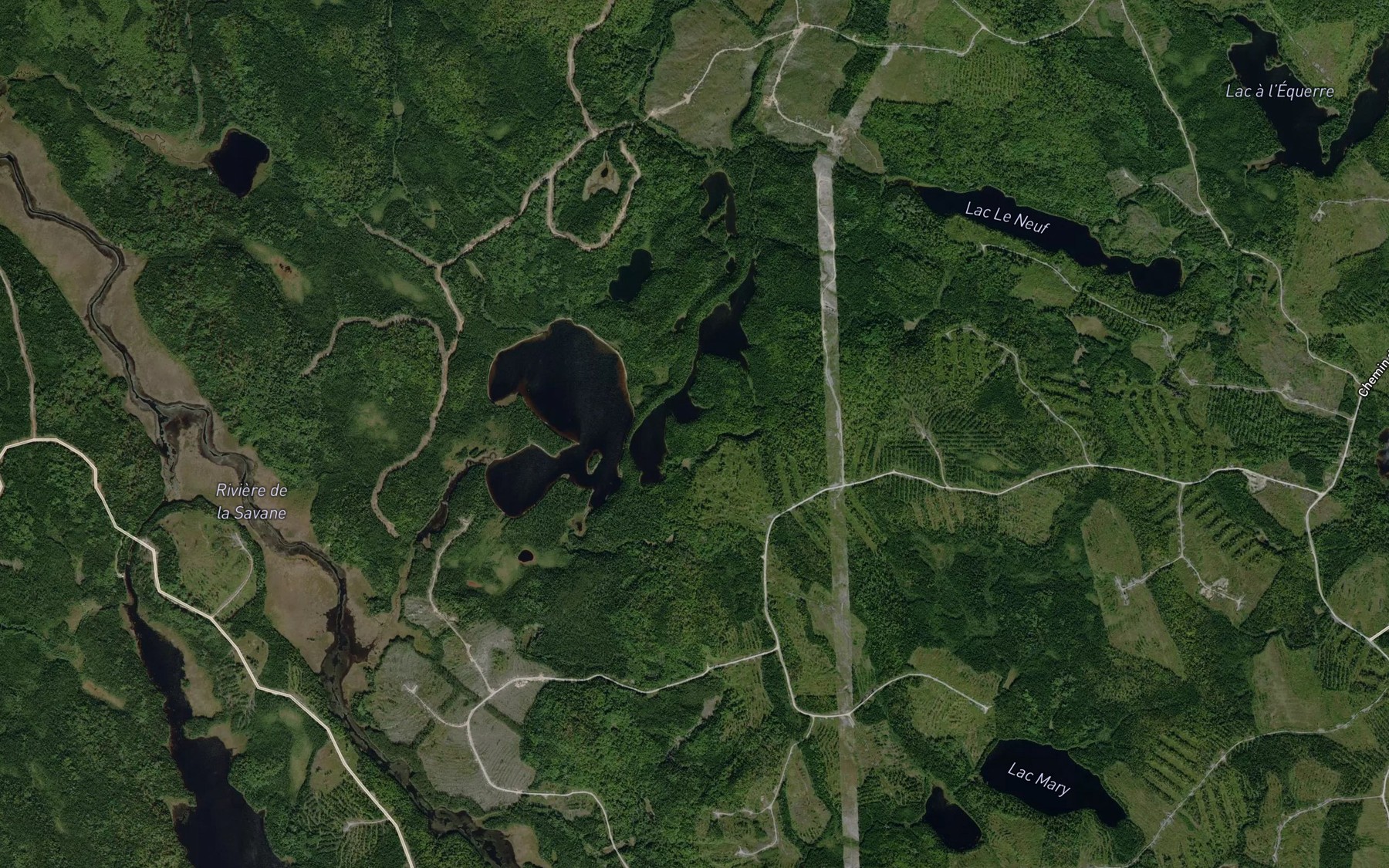 Satellite map of the Etang Danielle