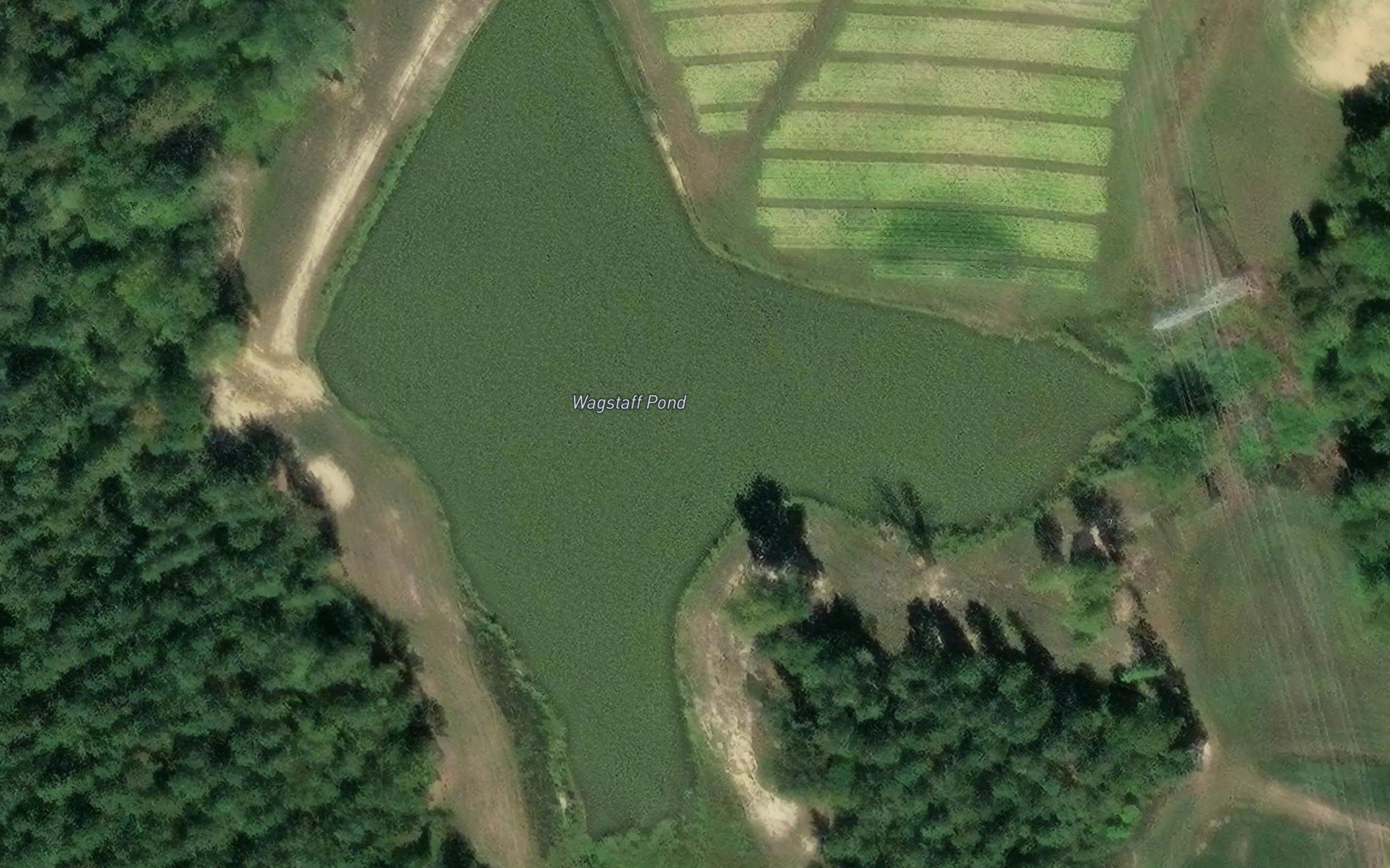 Wagstaff Pond