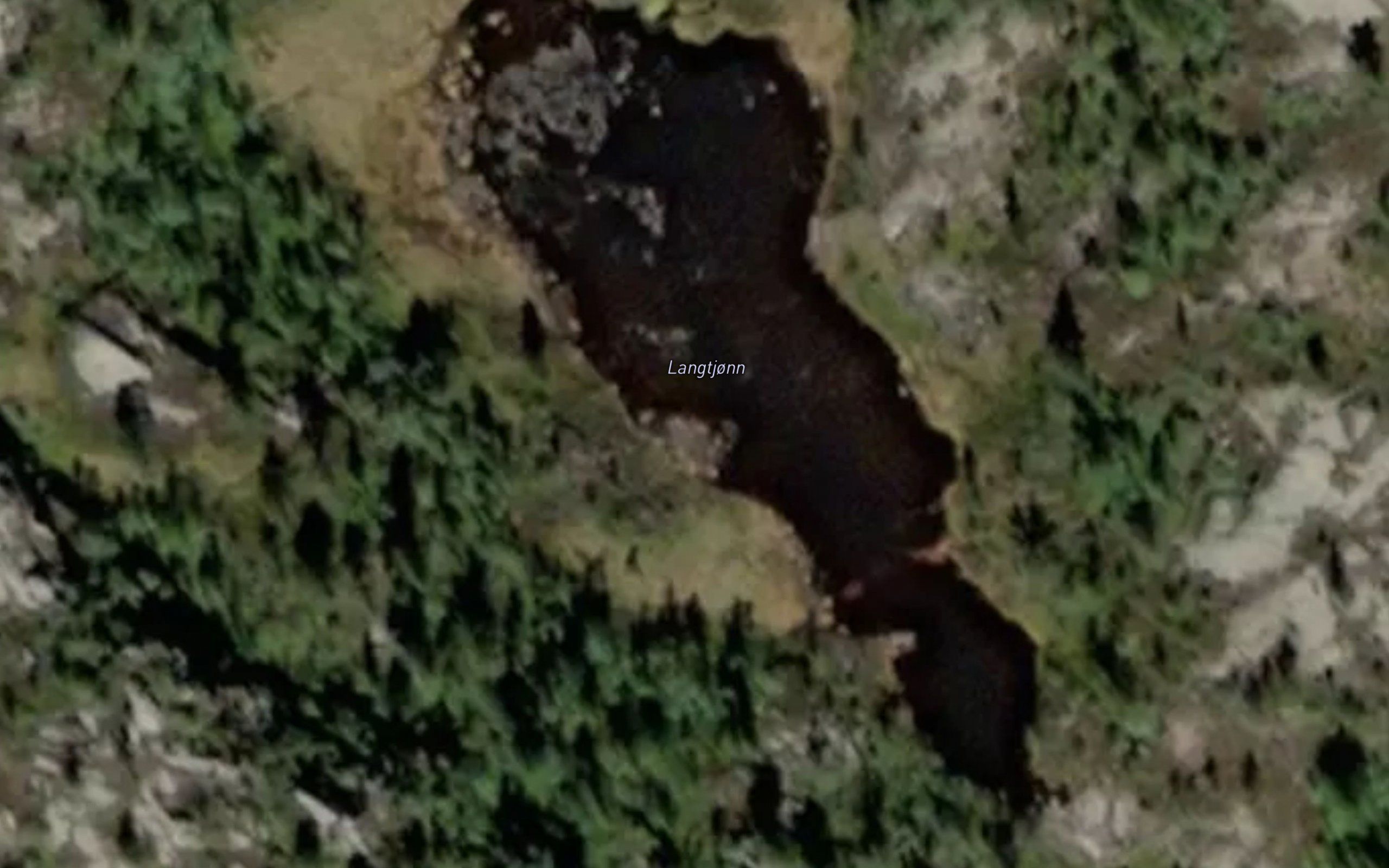Langtjorn