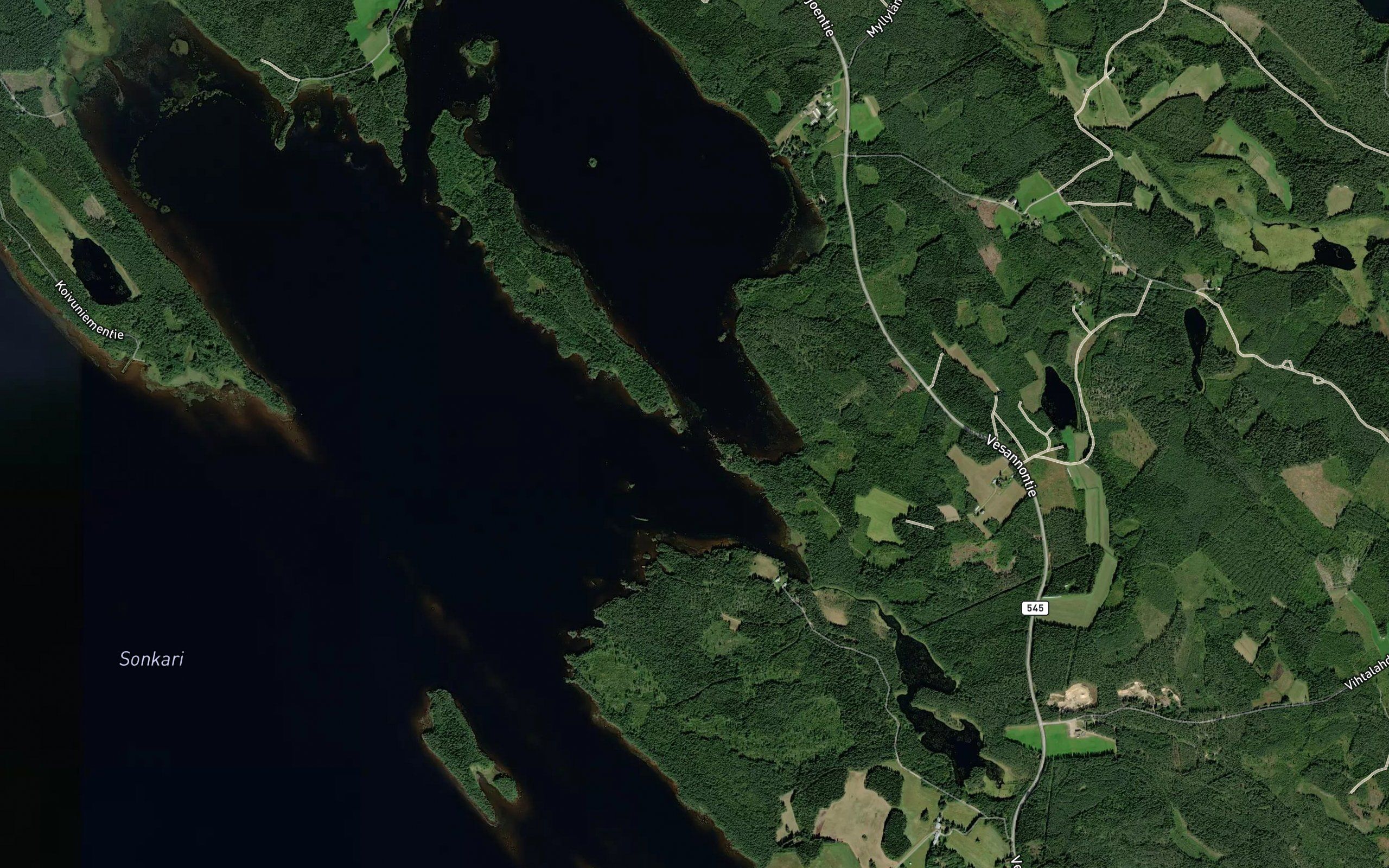 Elosalmi