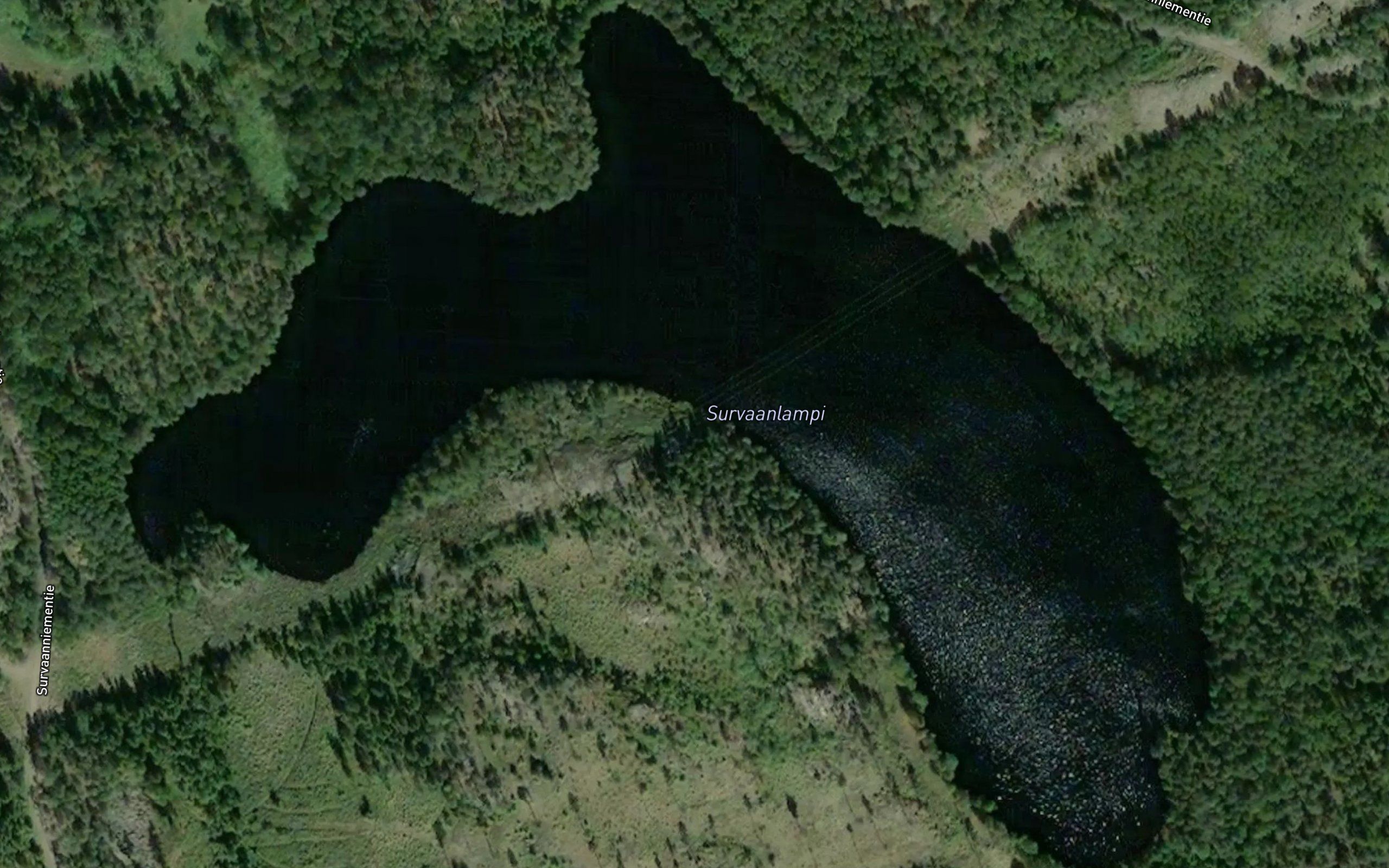 Survaanlampi