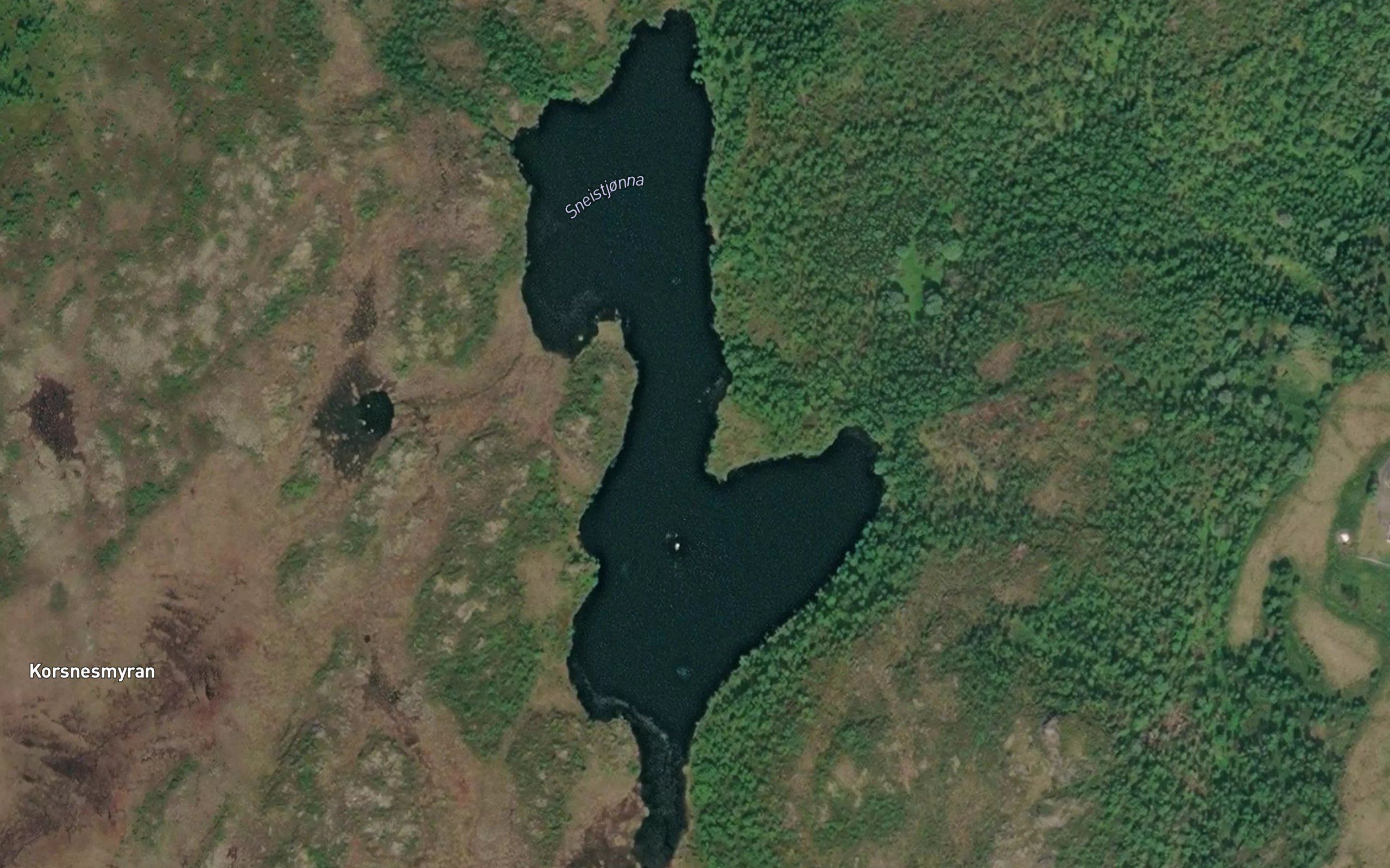 Sneistjorna