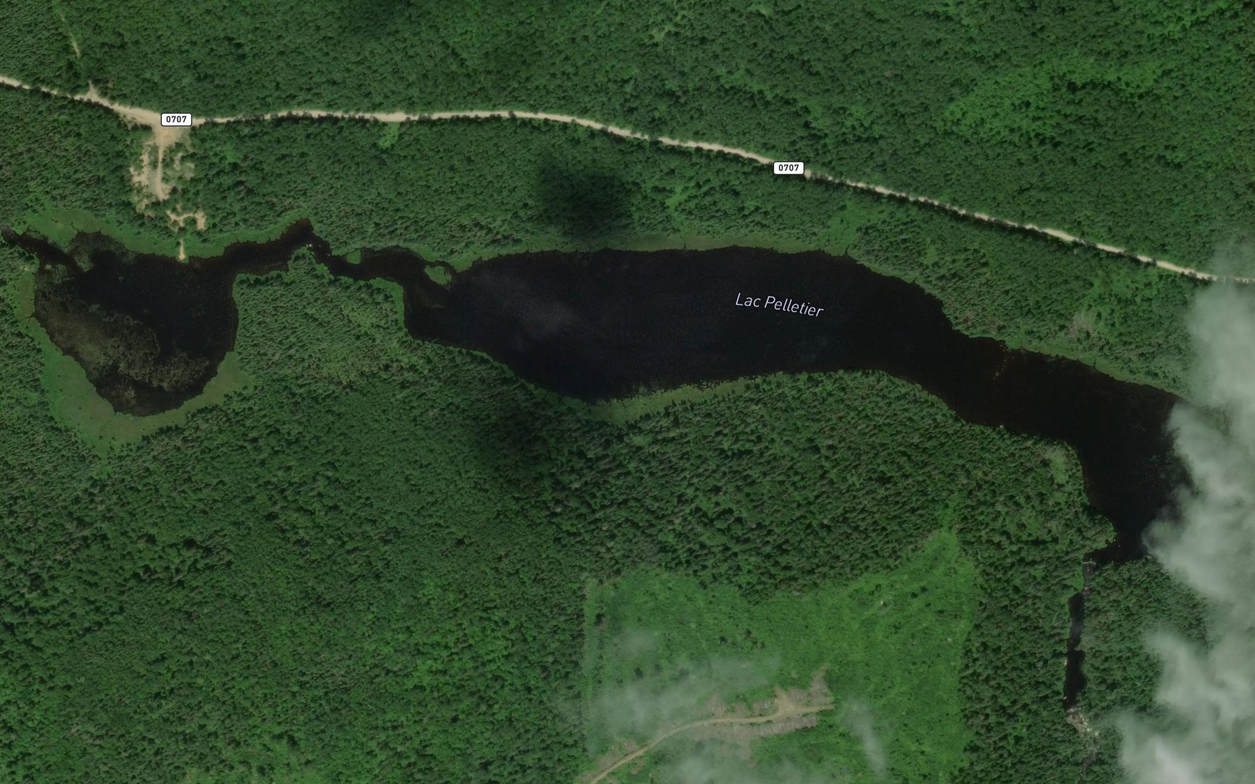 Satellite map of the Lac Pelletier