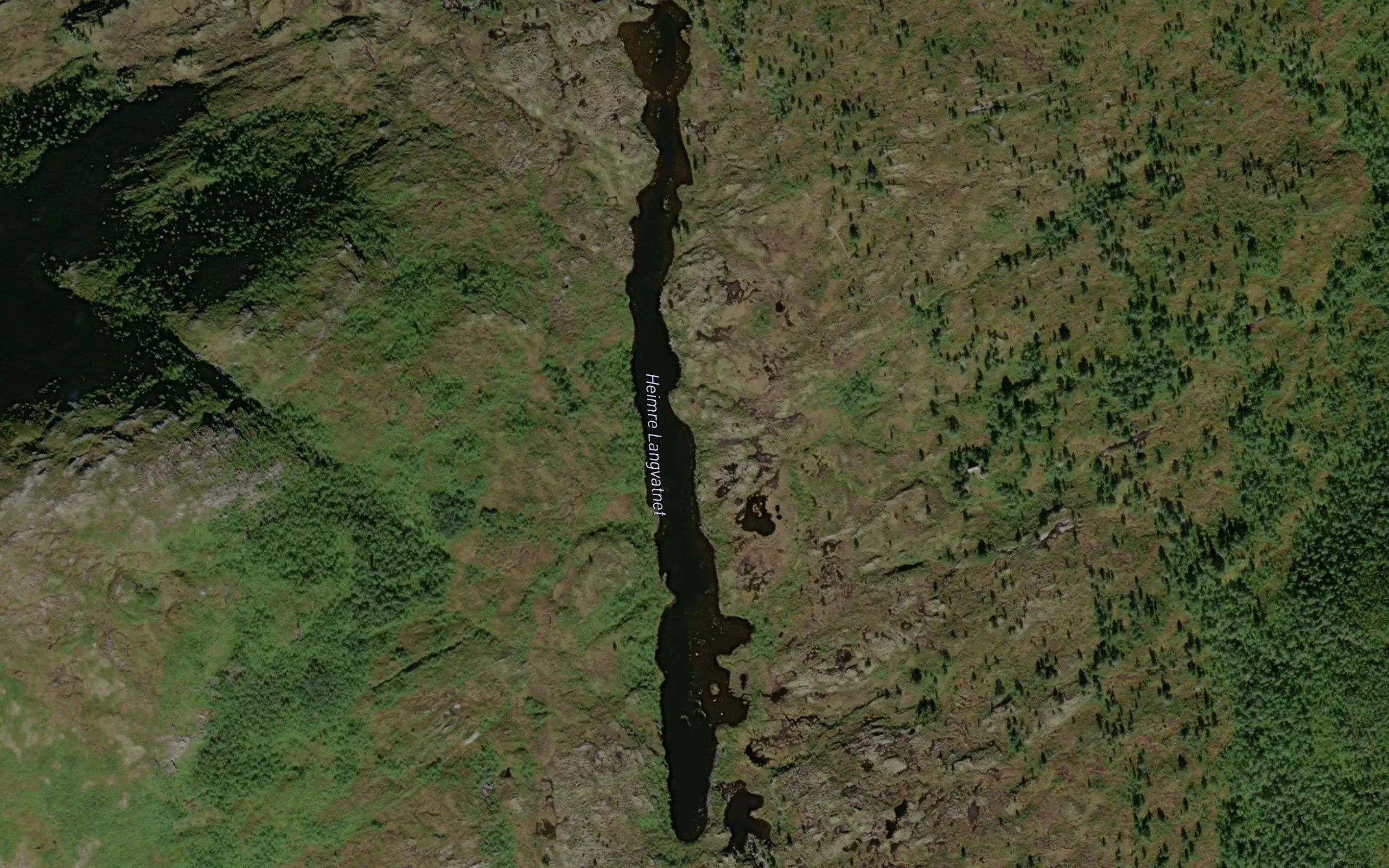 Langvatnet,nedre