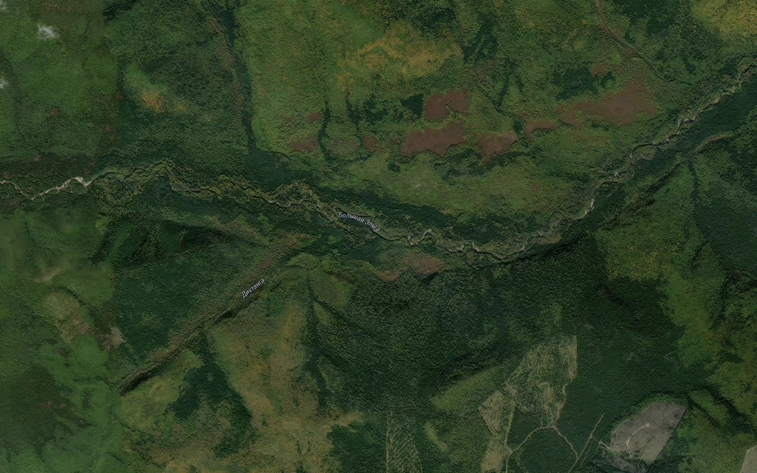 Diktanga