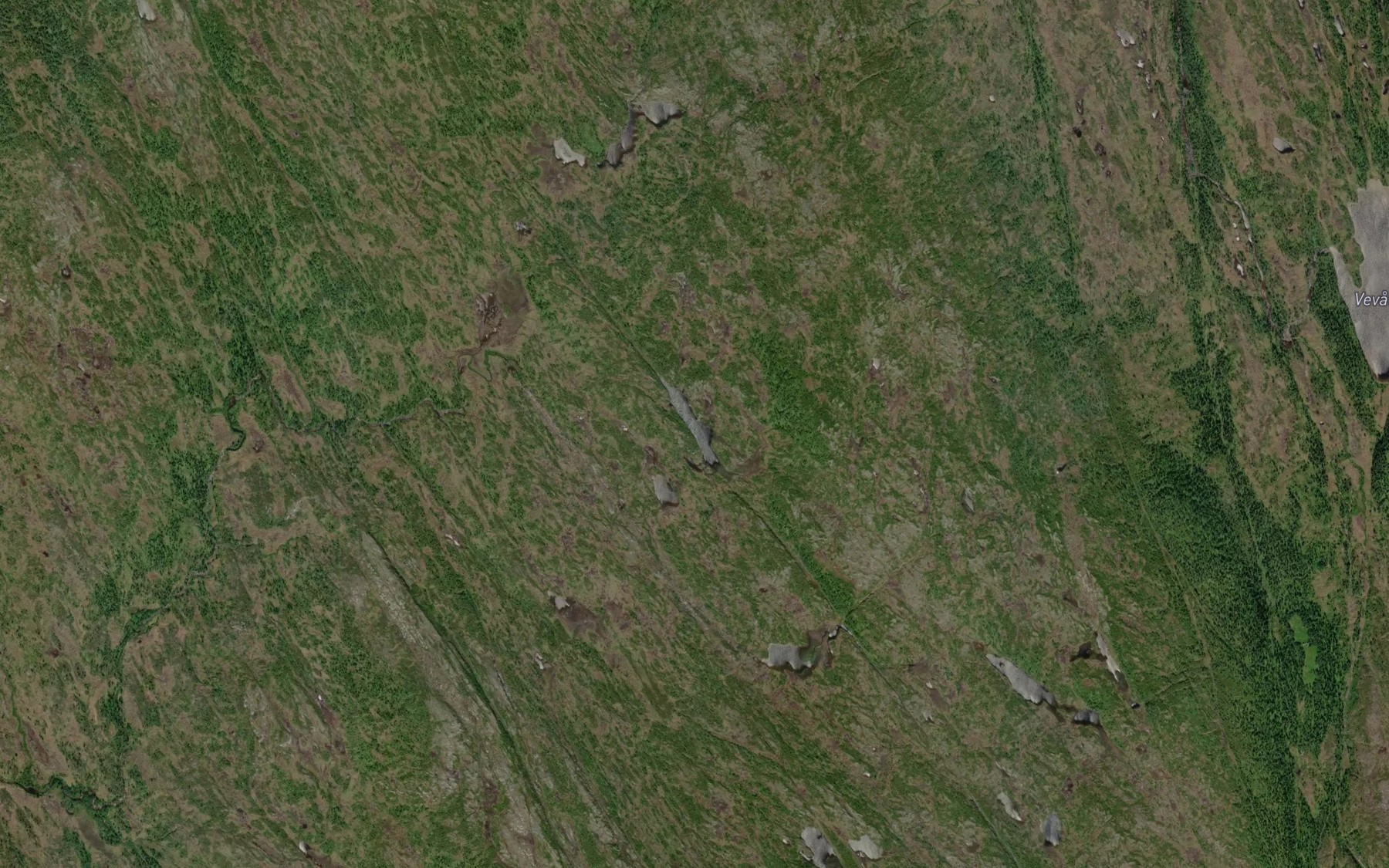 Satellite map of the Langtjonna