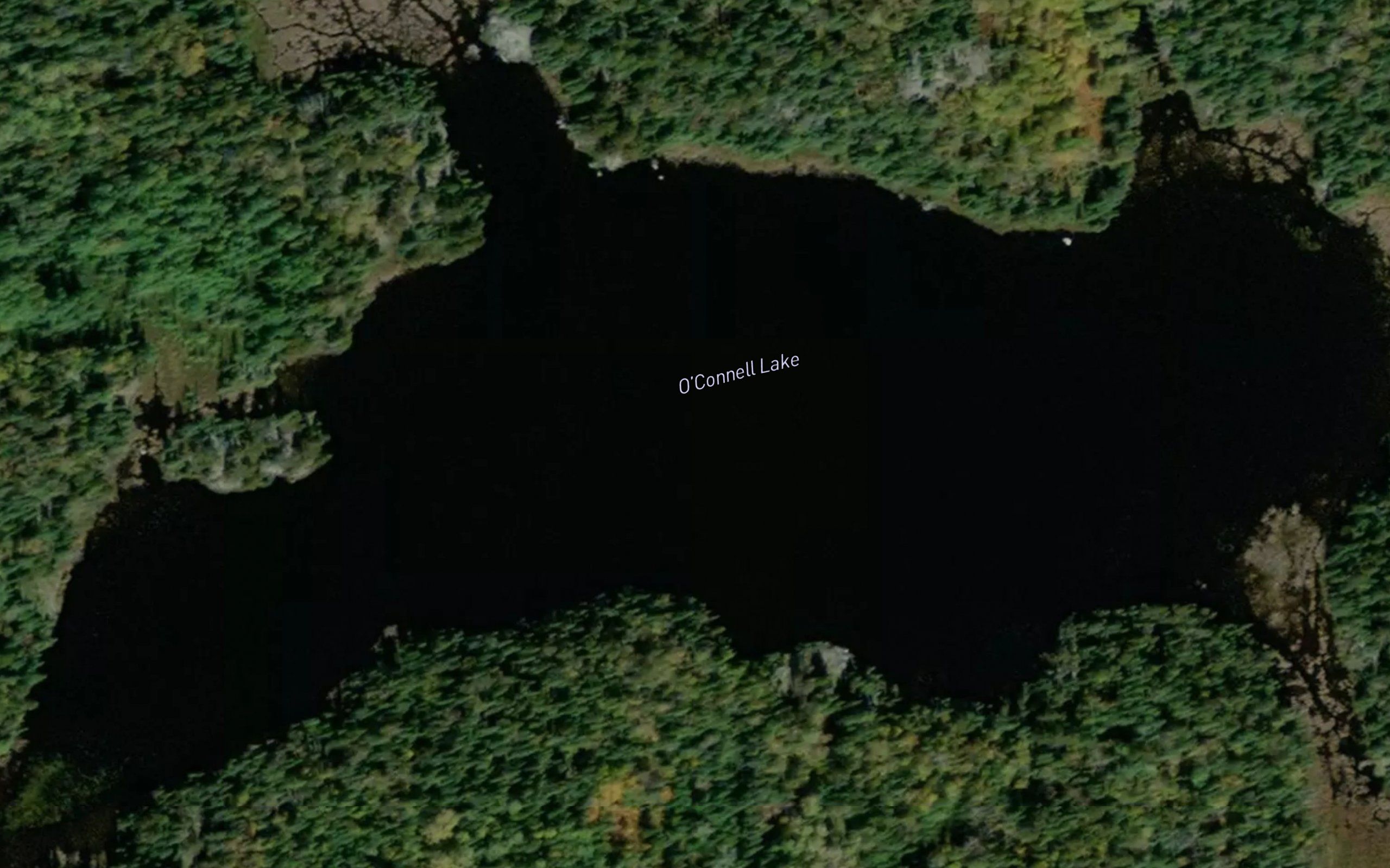 O'Connell Lake