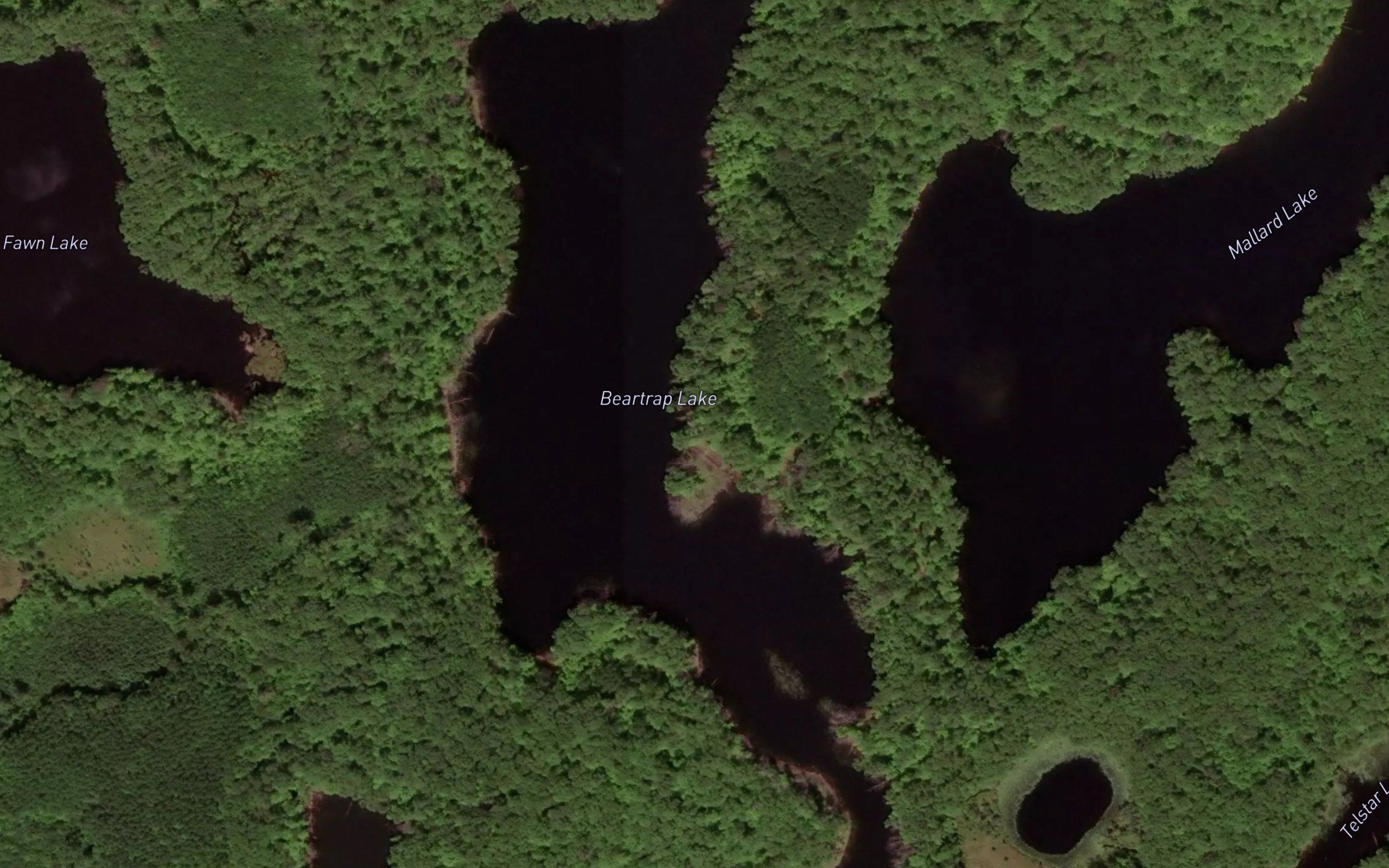 Beartrap Lake