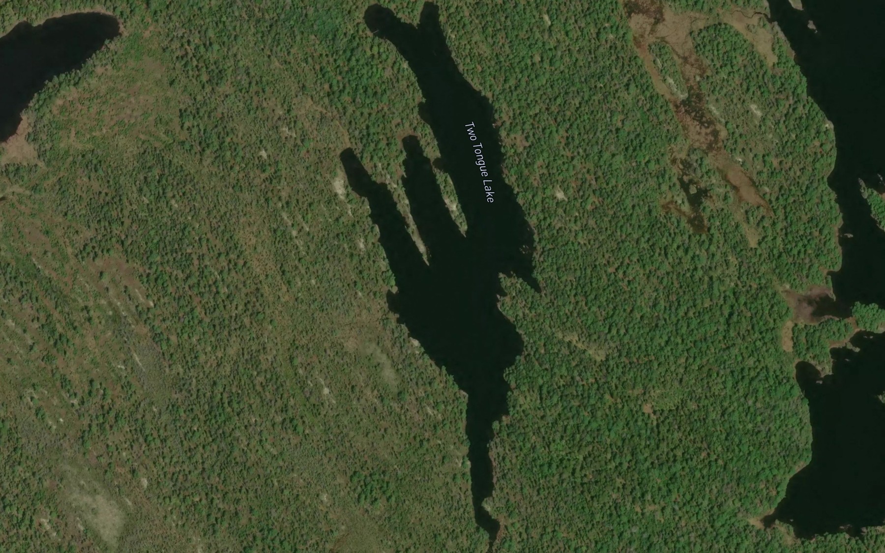 Satellite map of the Two Tongue Lake