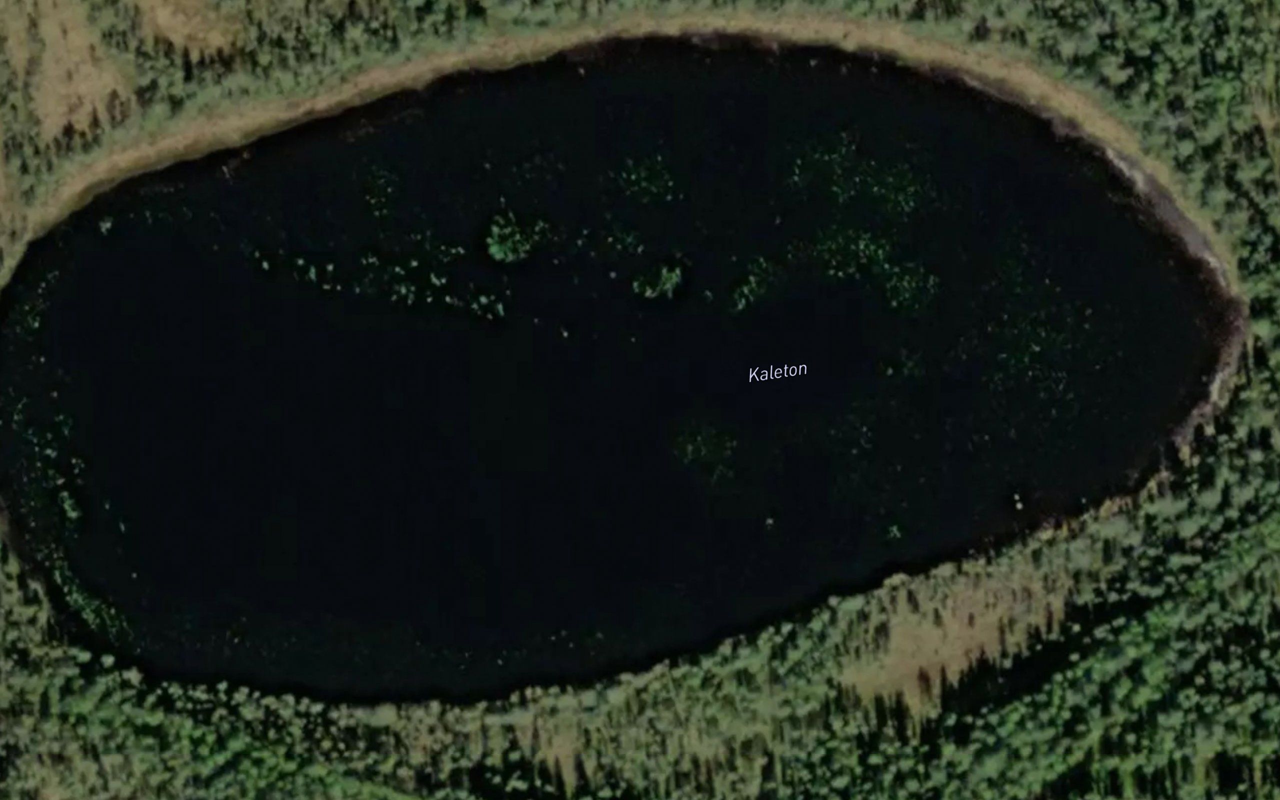 Kaleton