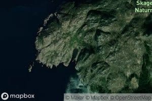 Asalvika