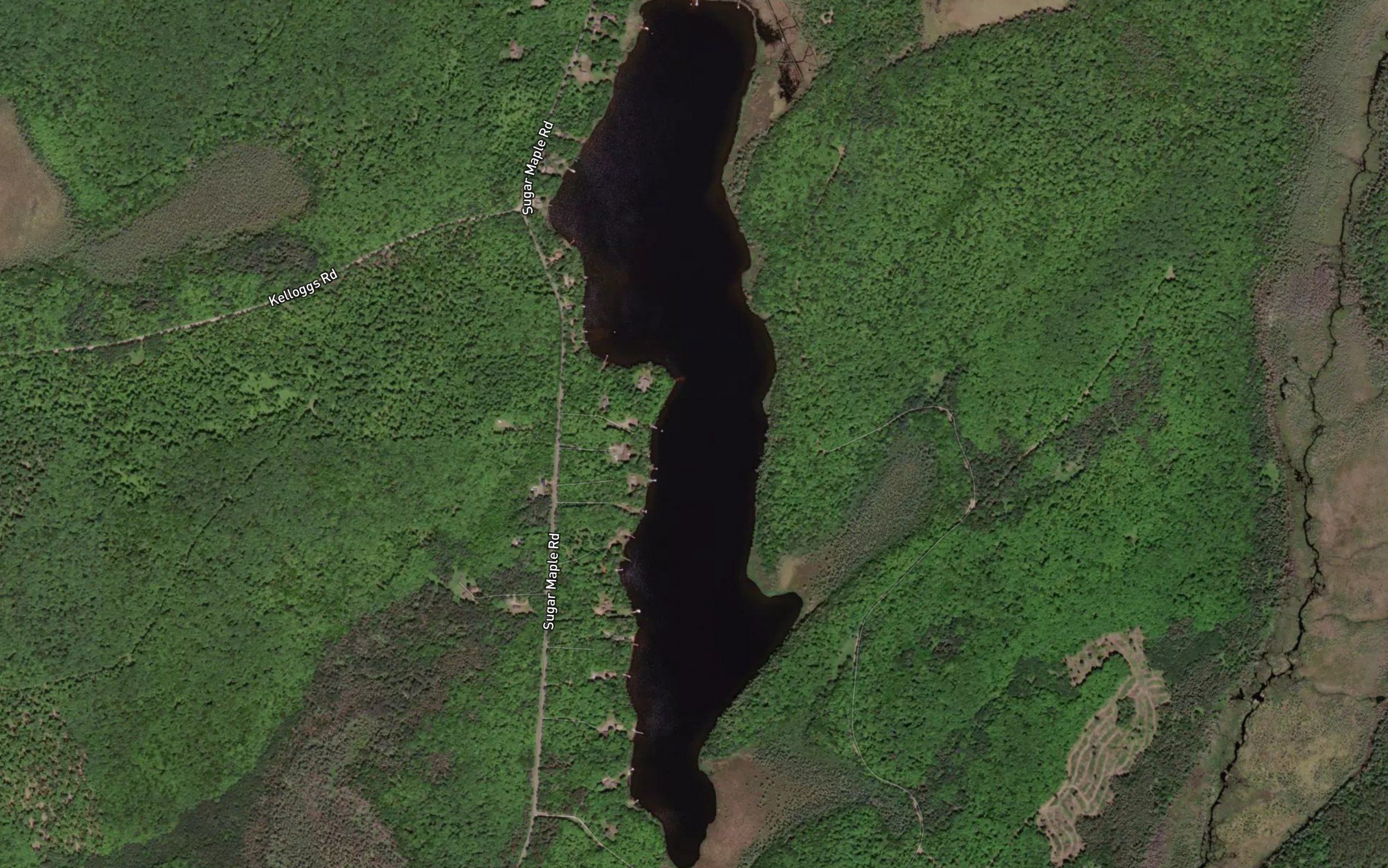 Sugar Maple Lake