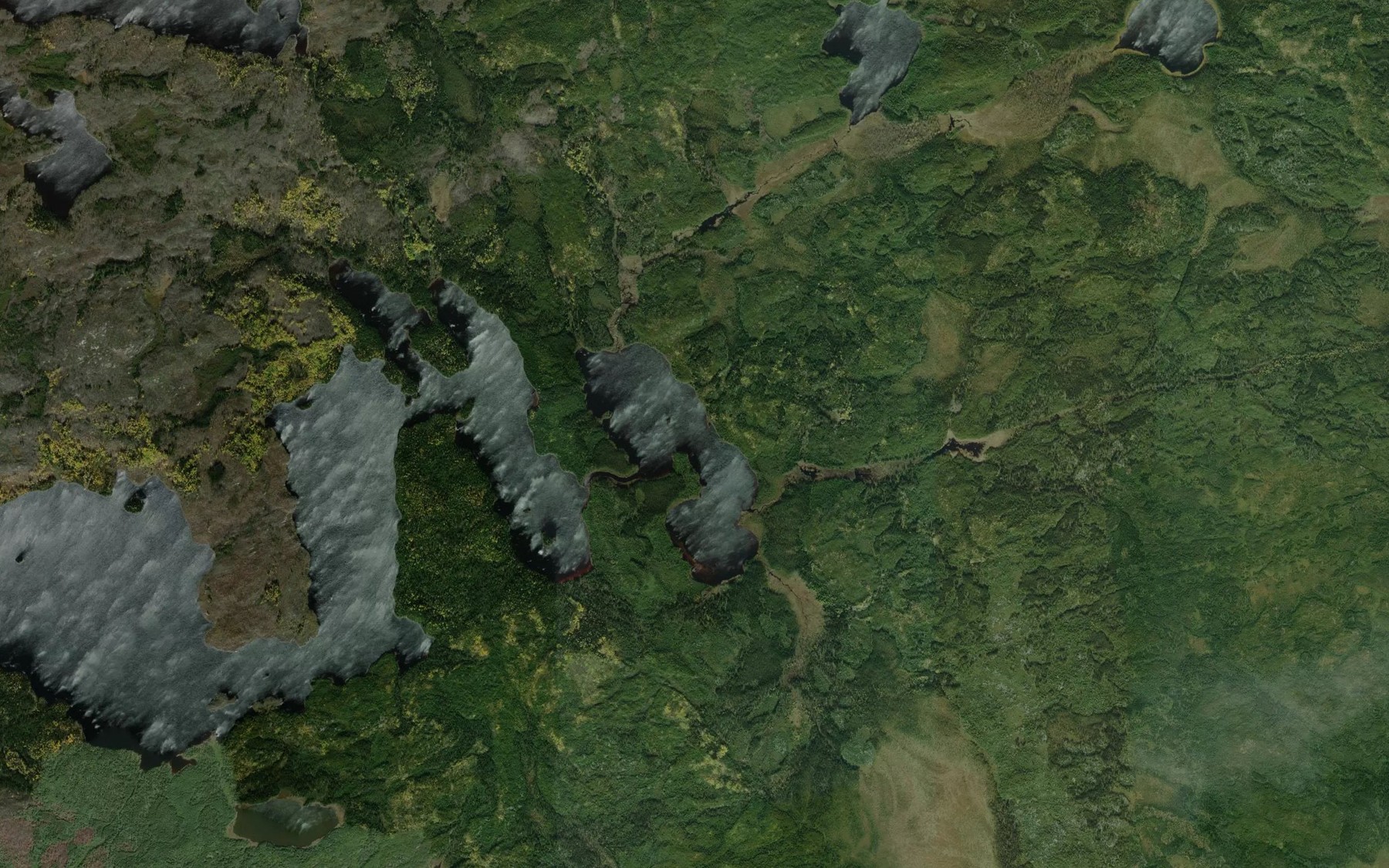 Satellite map of the Graham Lake