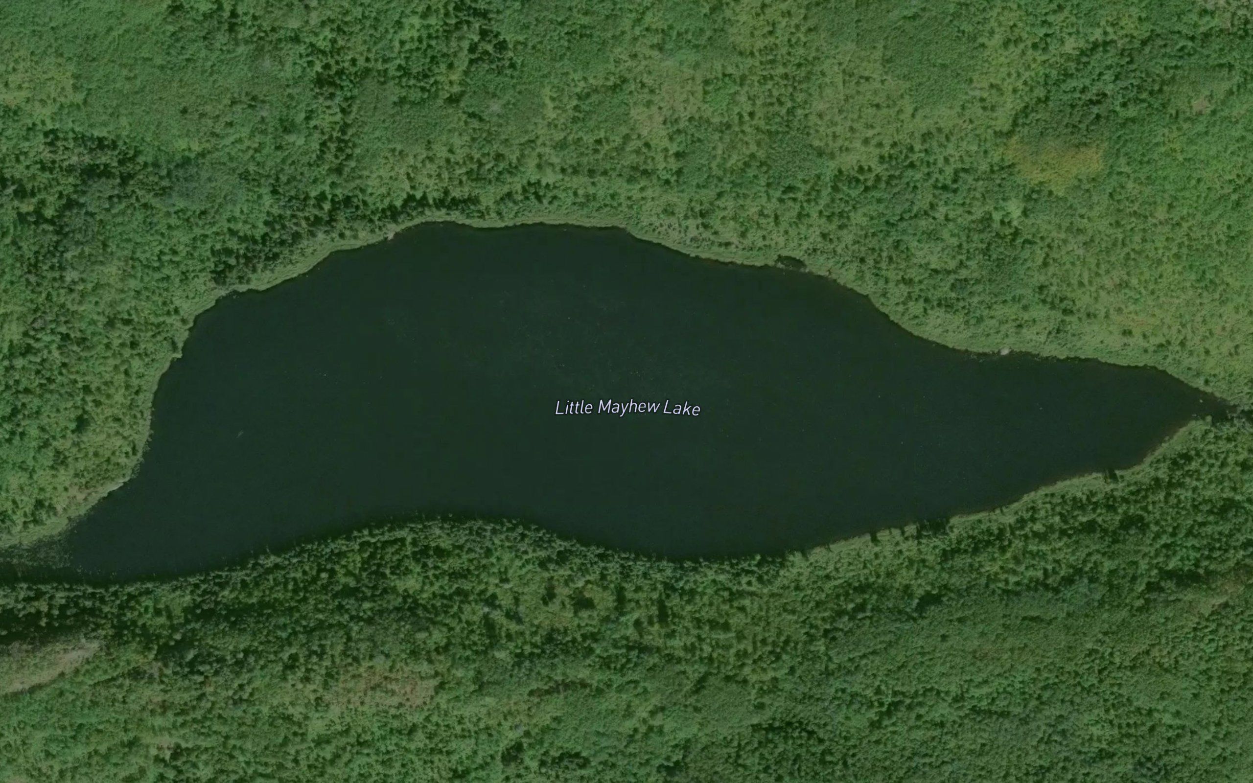 Little Mayhew Lake