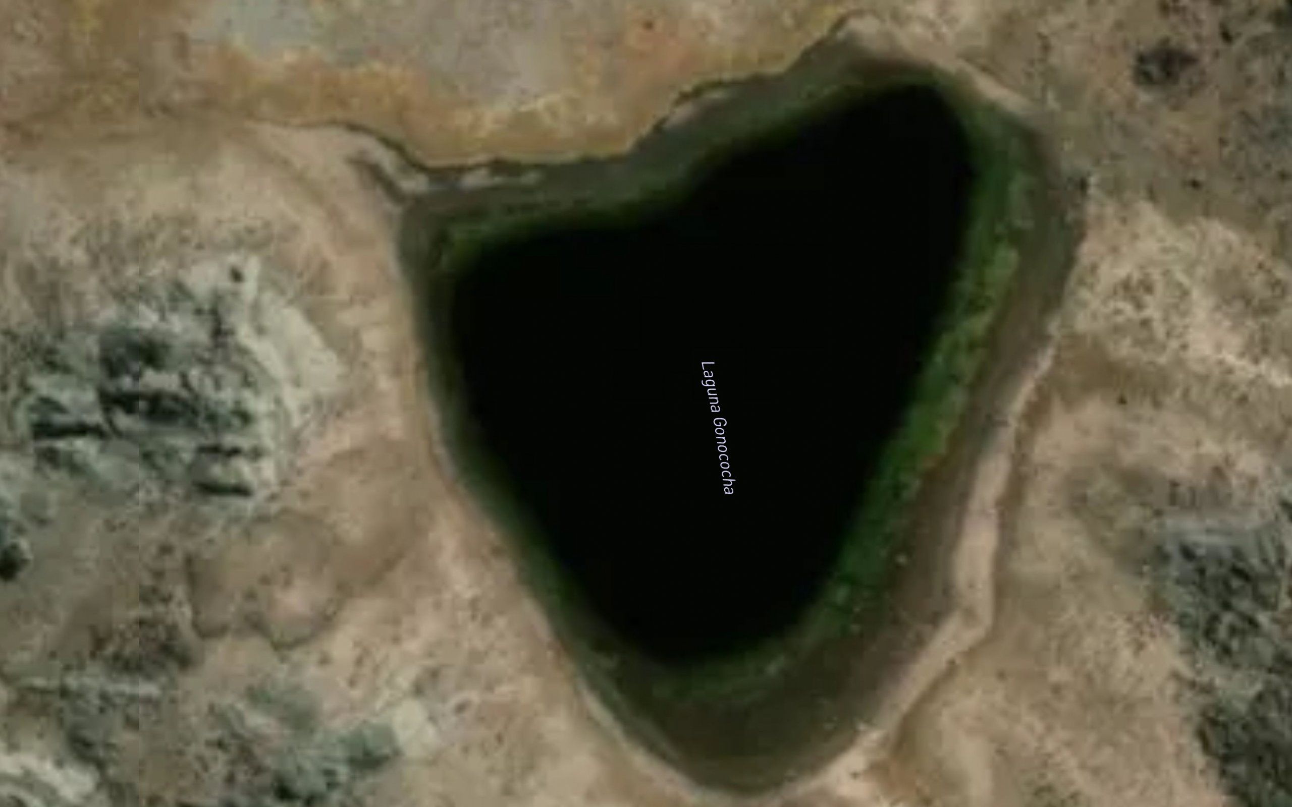 Laguna Gonococha