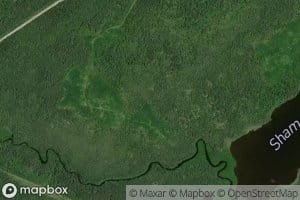 Shamokan Creek