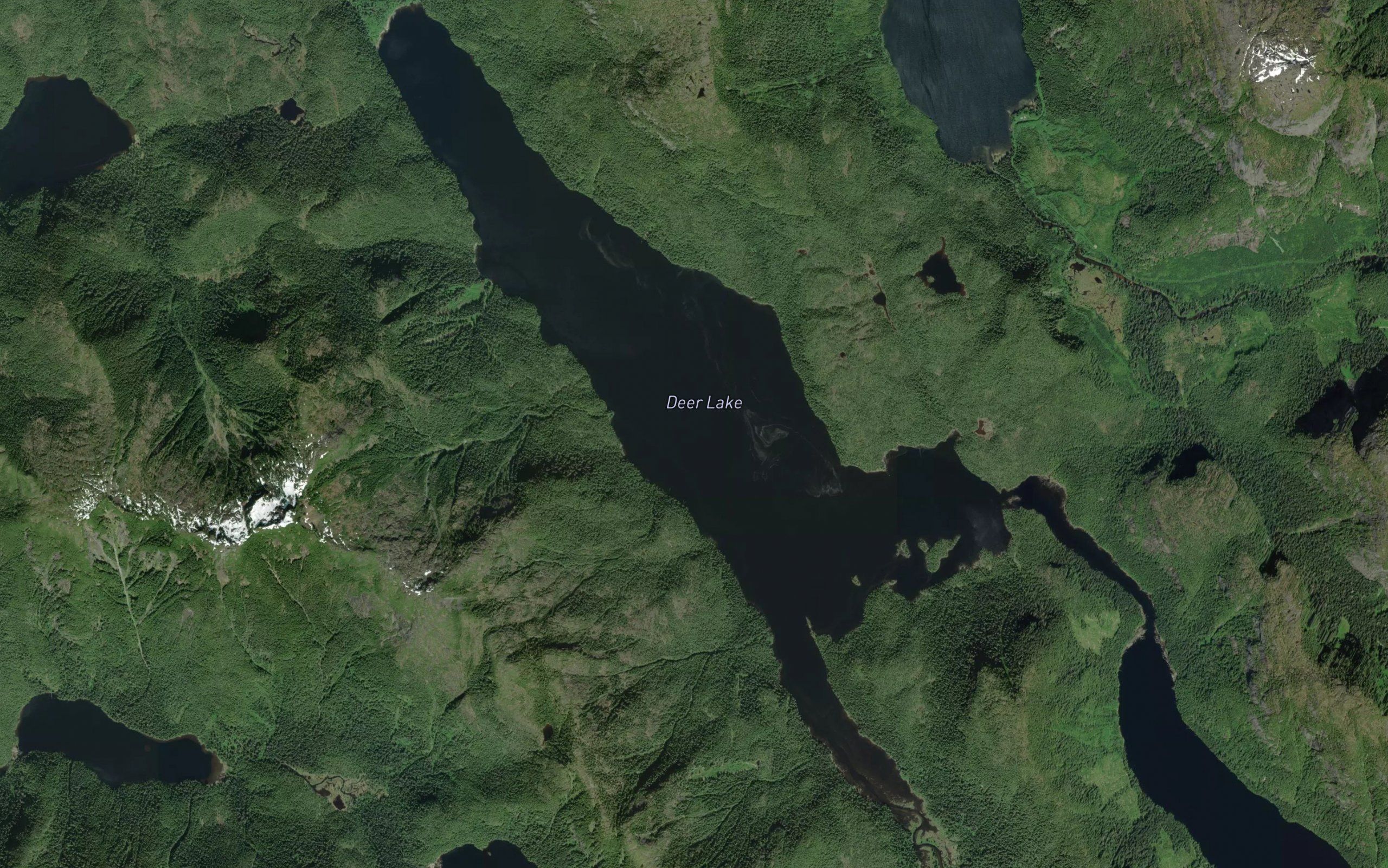 Deer Lake