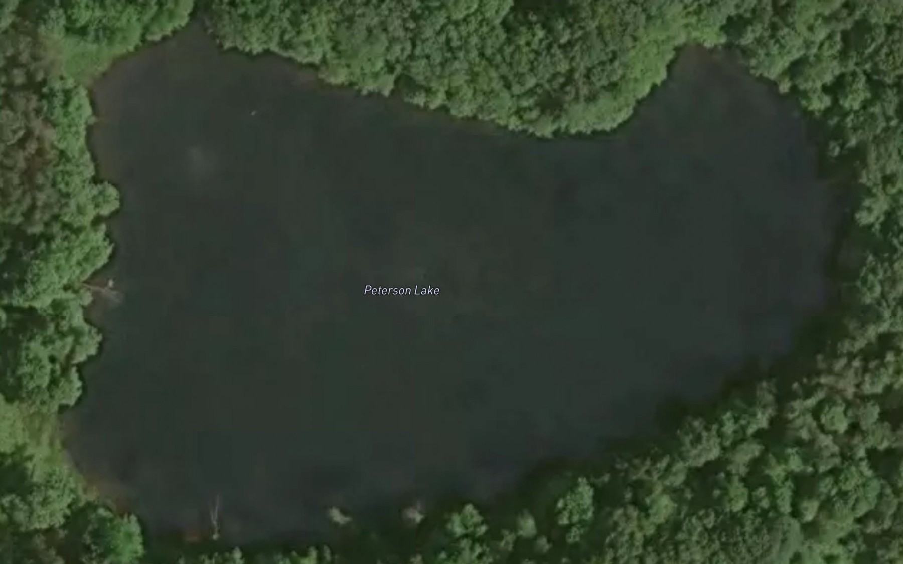 Satellite map of the Peterson Lake