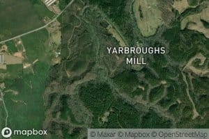 Little Pine Log Creek