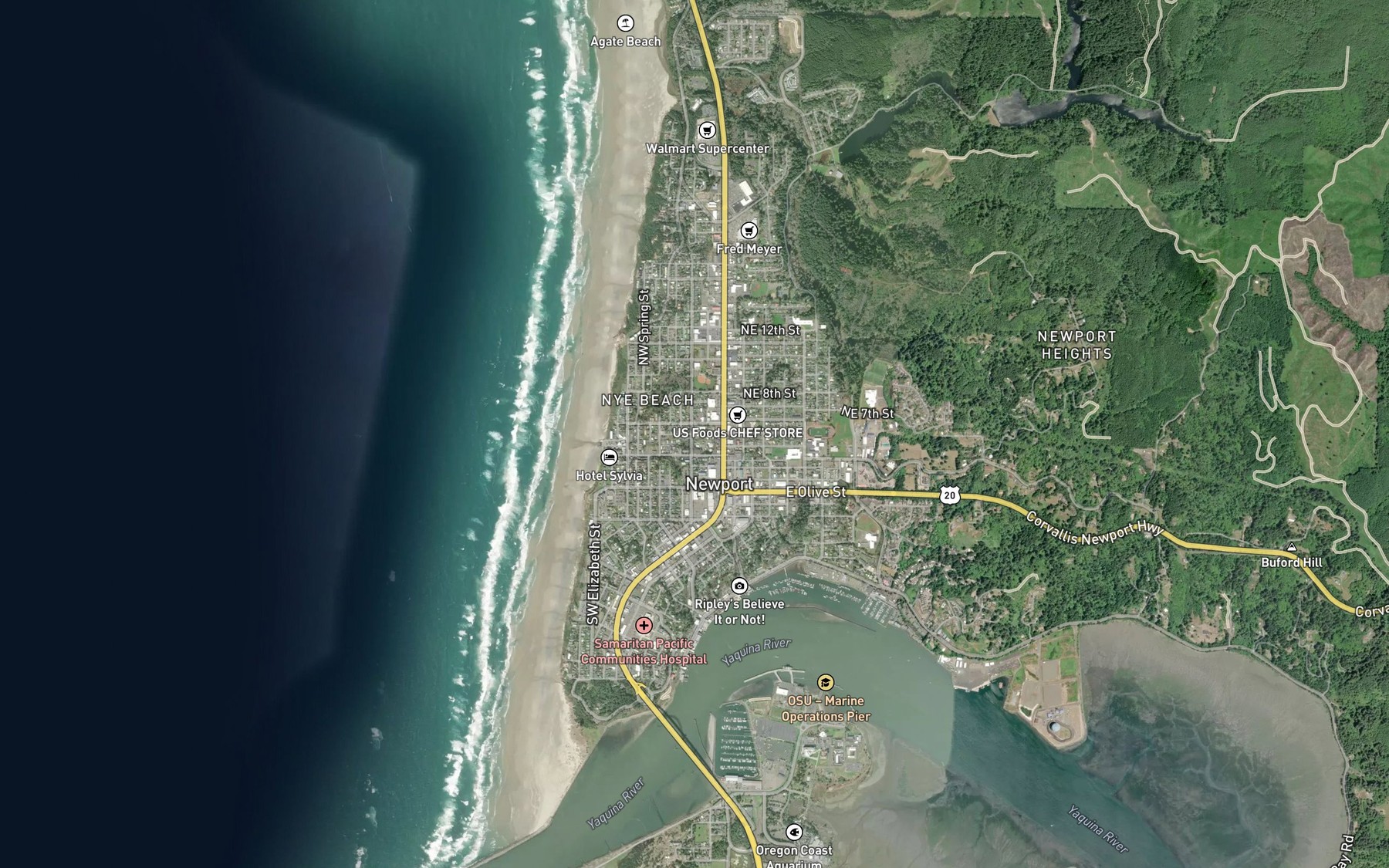 Satellite map of the Moores Spring