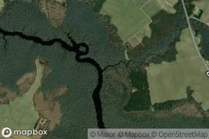 Bagley Swamp