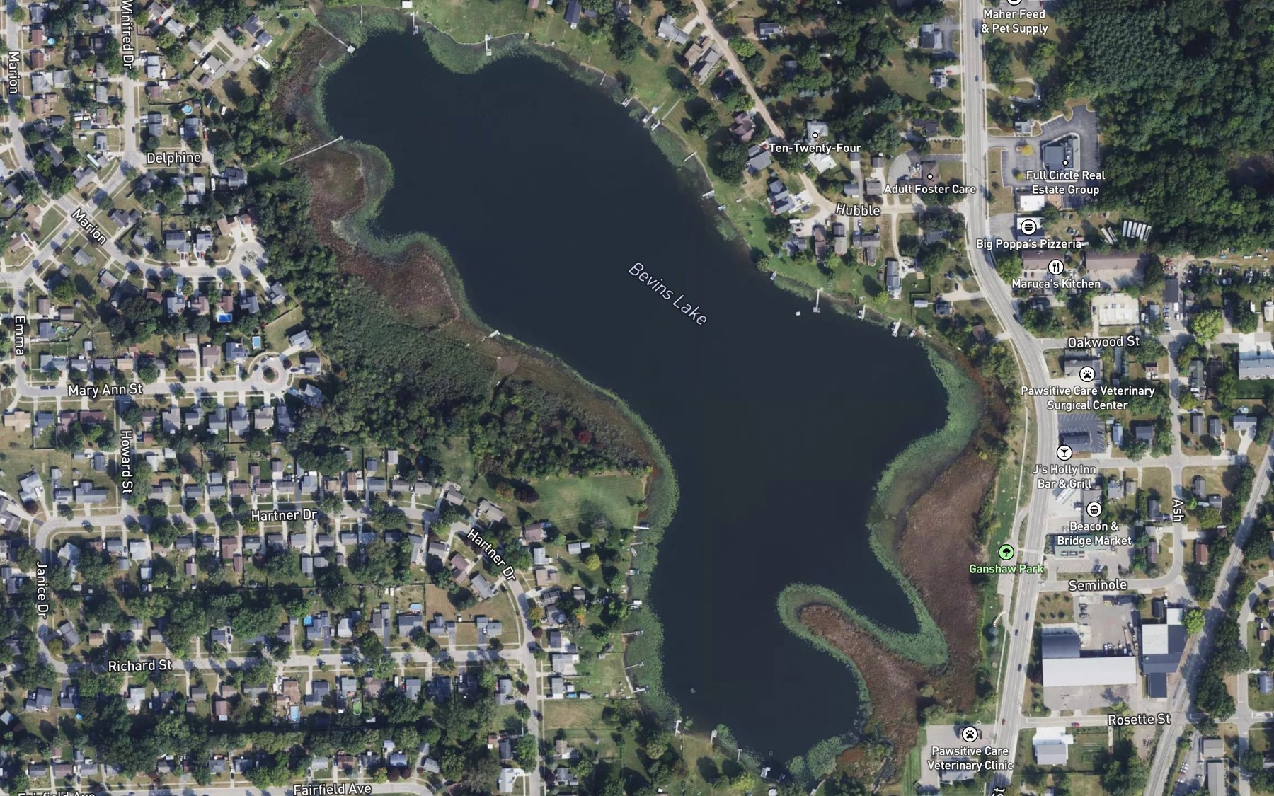 Satellite map of the Bevins Lake