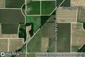 Ditch Number 37
